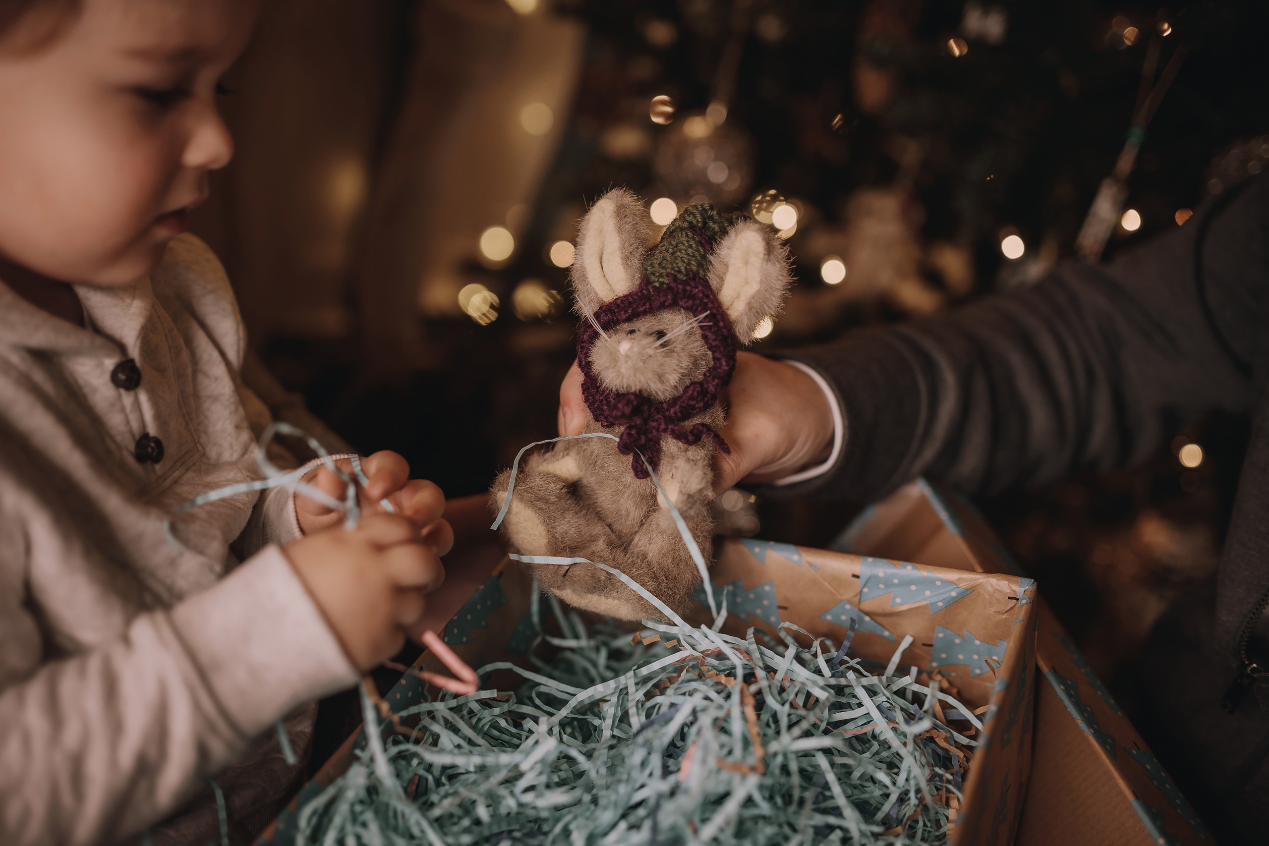 11.27.2022 Christmas Photoshoot 7. Wedding family event photographer in Chicago Nick Yushevich