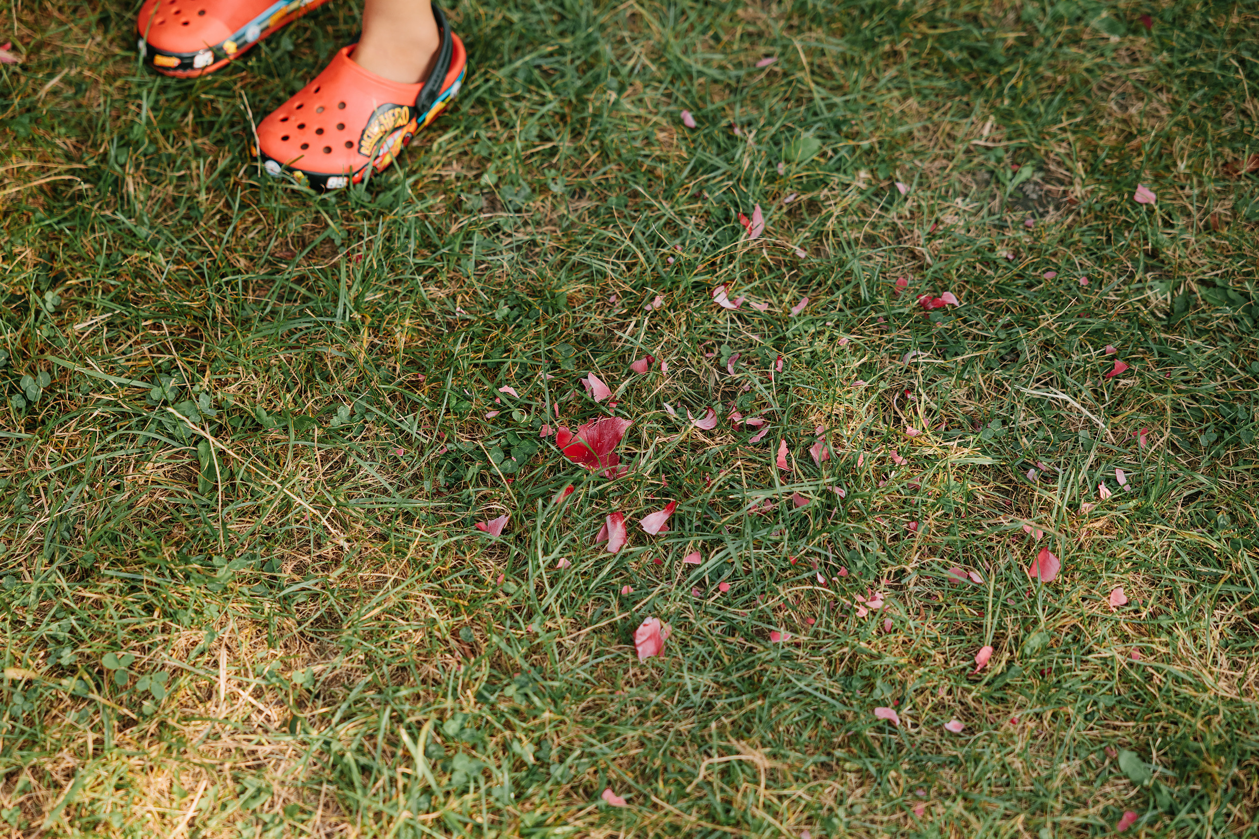 08.28.2022 Birthday Party. Wedding family event photographer in Chicago Nick Yushevich