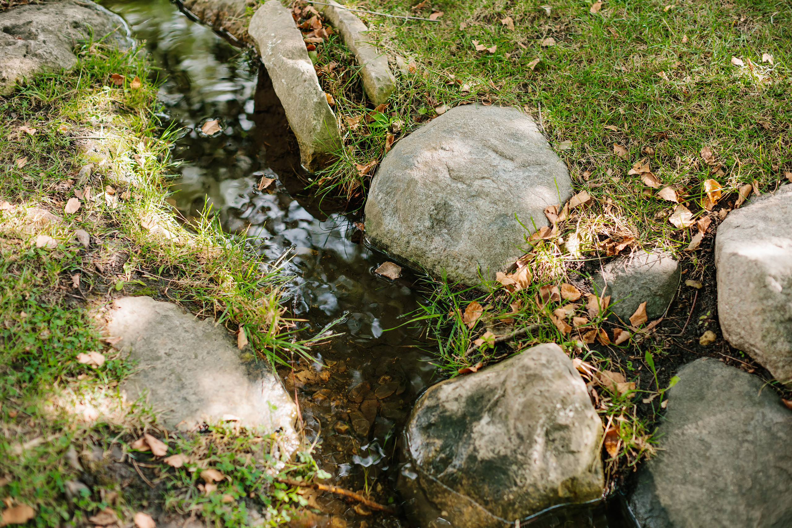 09.03.22 Family Photoshoot. Wedding family event photographer in Chicago Nick Yushevich