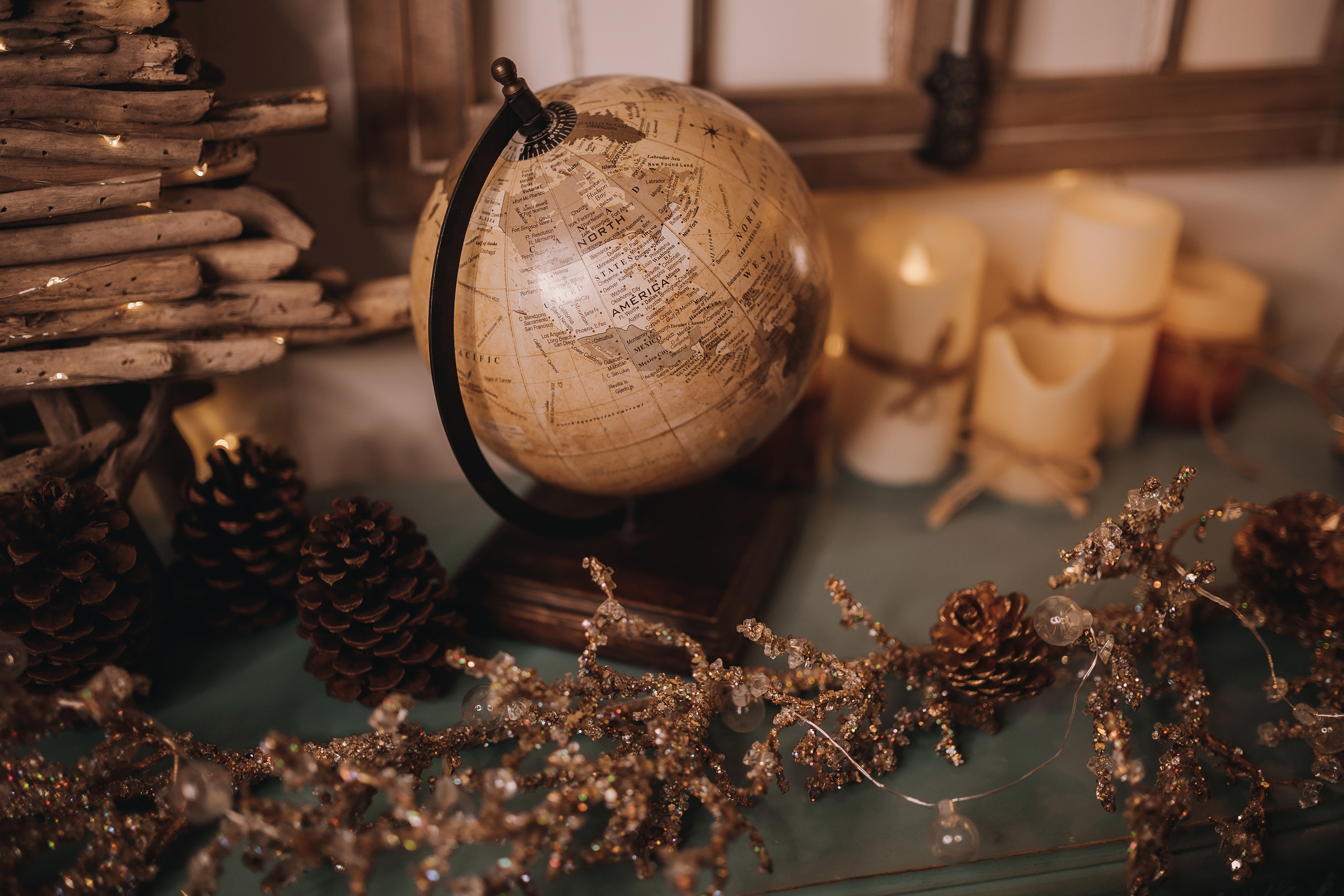 11.12.2022 Christmas Photoshoot 1. Wedding family event photographer in Chicago Nick Yushevich