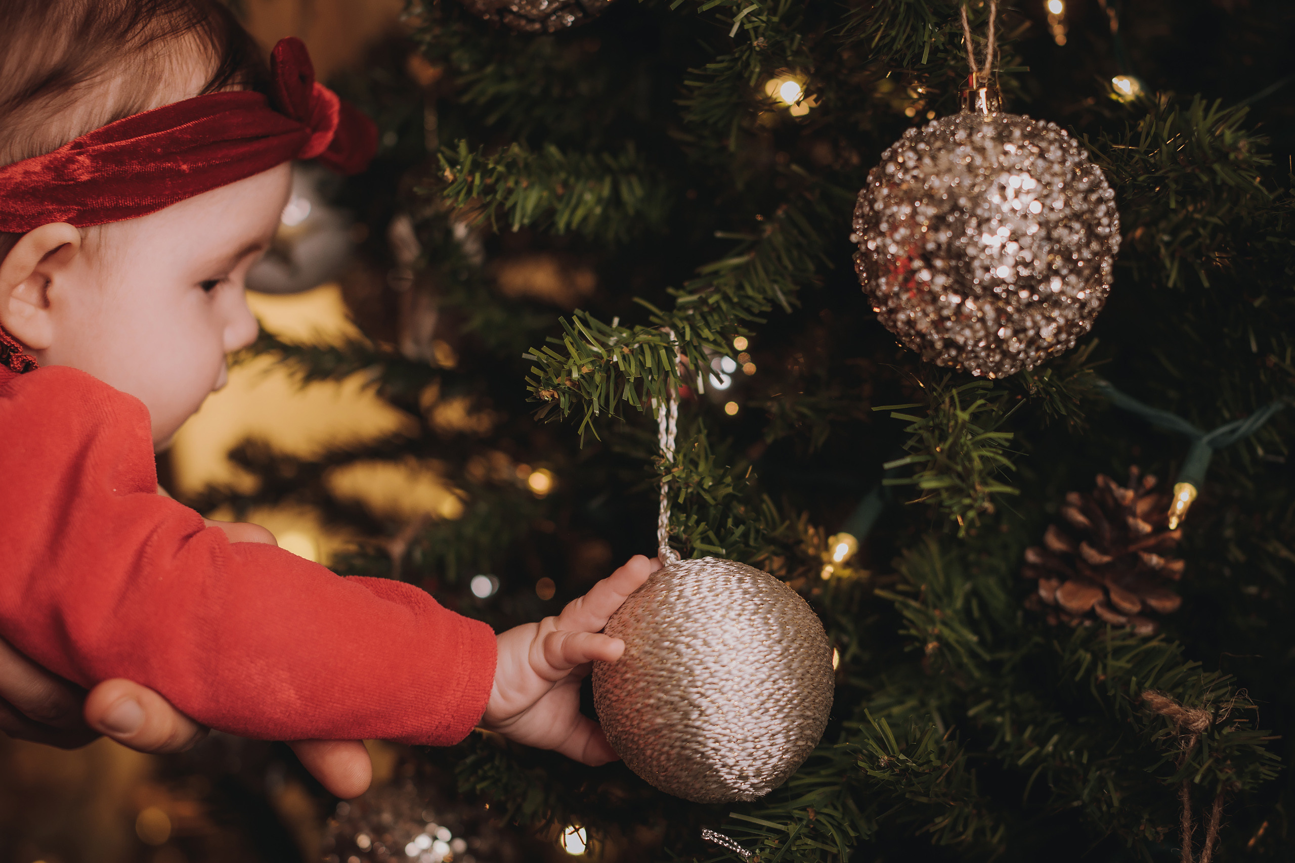 11.14.2022 Christmas Photoshoot 2. Wedding family event photographer in Chicago Nick Yushevich