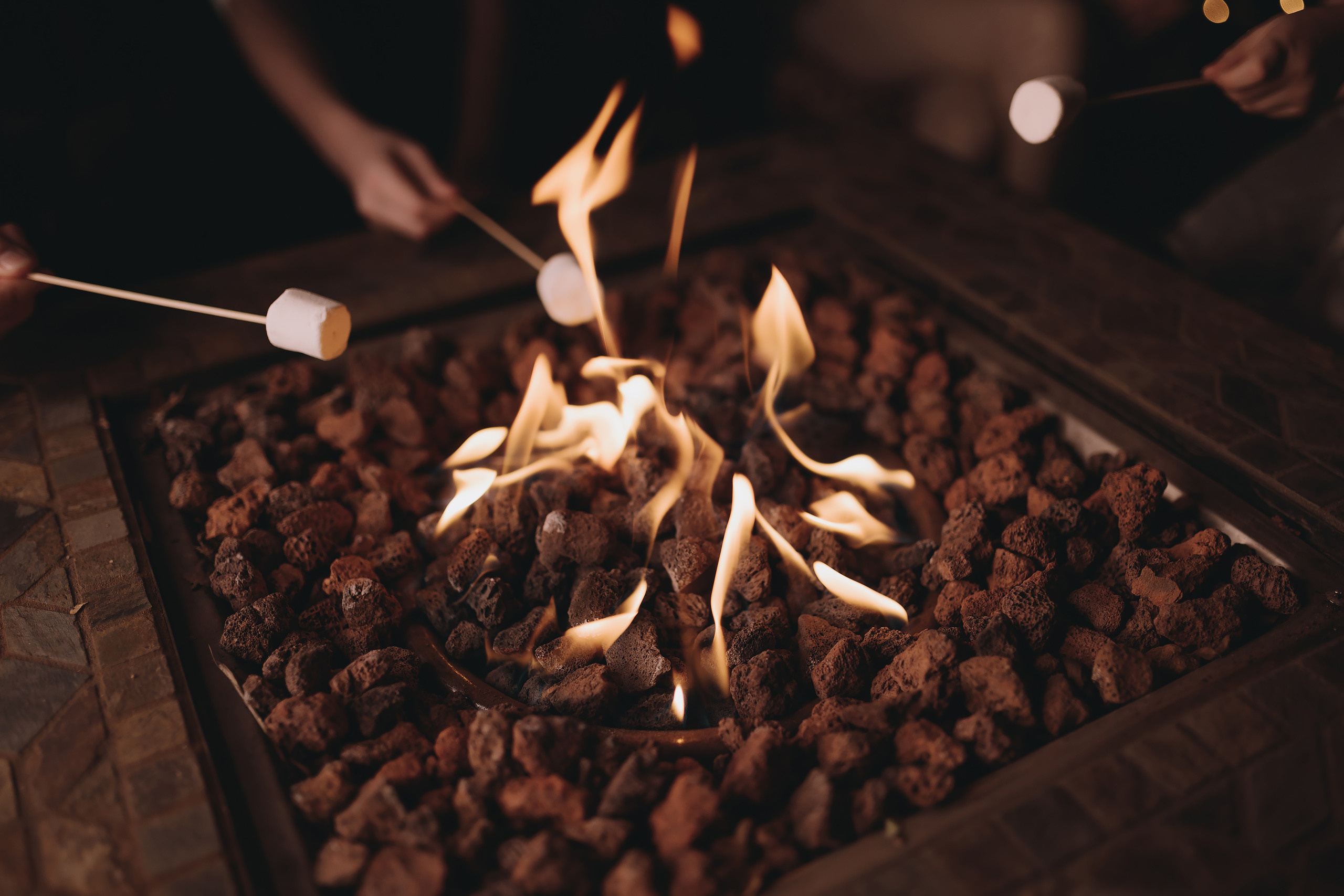 11.26.2022 Christmas Photoshoot. Wedding family event photographer in Chicago Nick Yushevich