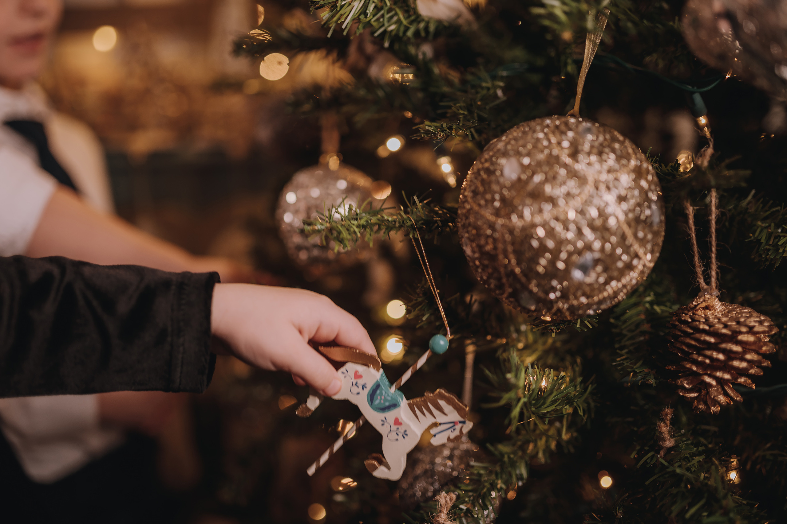 11.25.2022 Christmas Photoshoot 5. Wedding family event photographer in Chicago Nick Yushevich