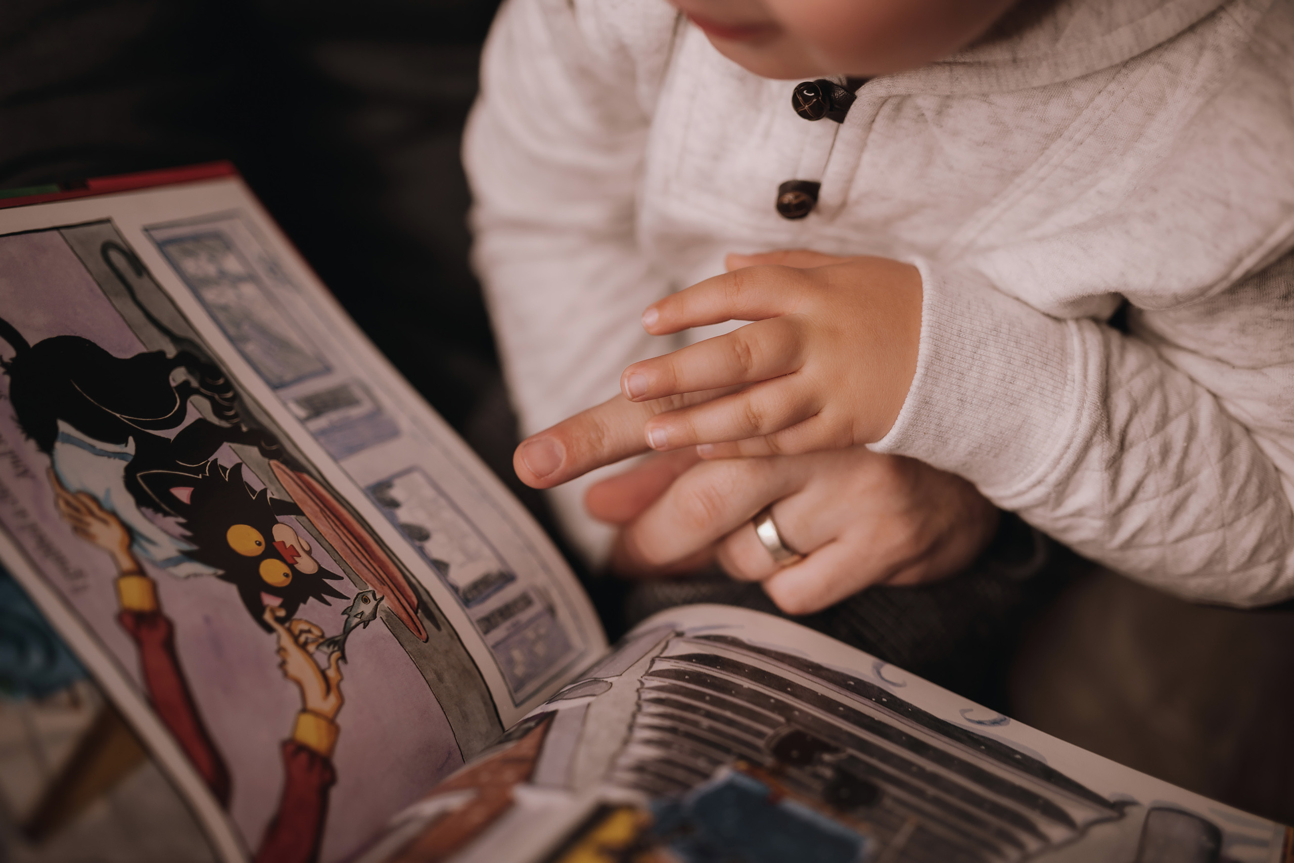 11.27.2022 Christmas Photoshoot 7. Wedding family event photographer in Chicago Nick Yushevich