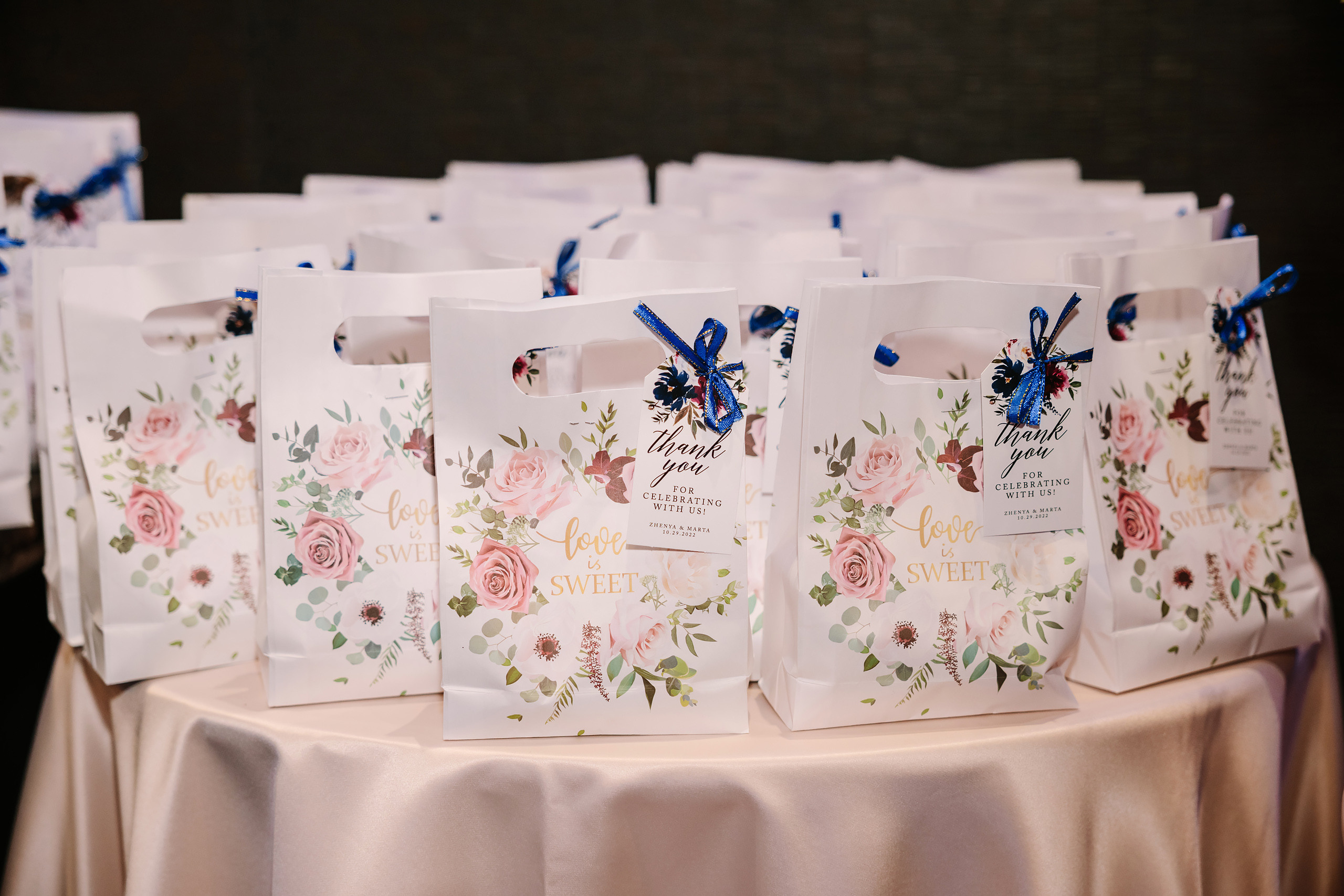 10.29.2022 Wedding. Wedding family event photographer in Chicago Nick Yushevich