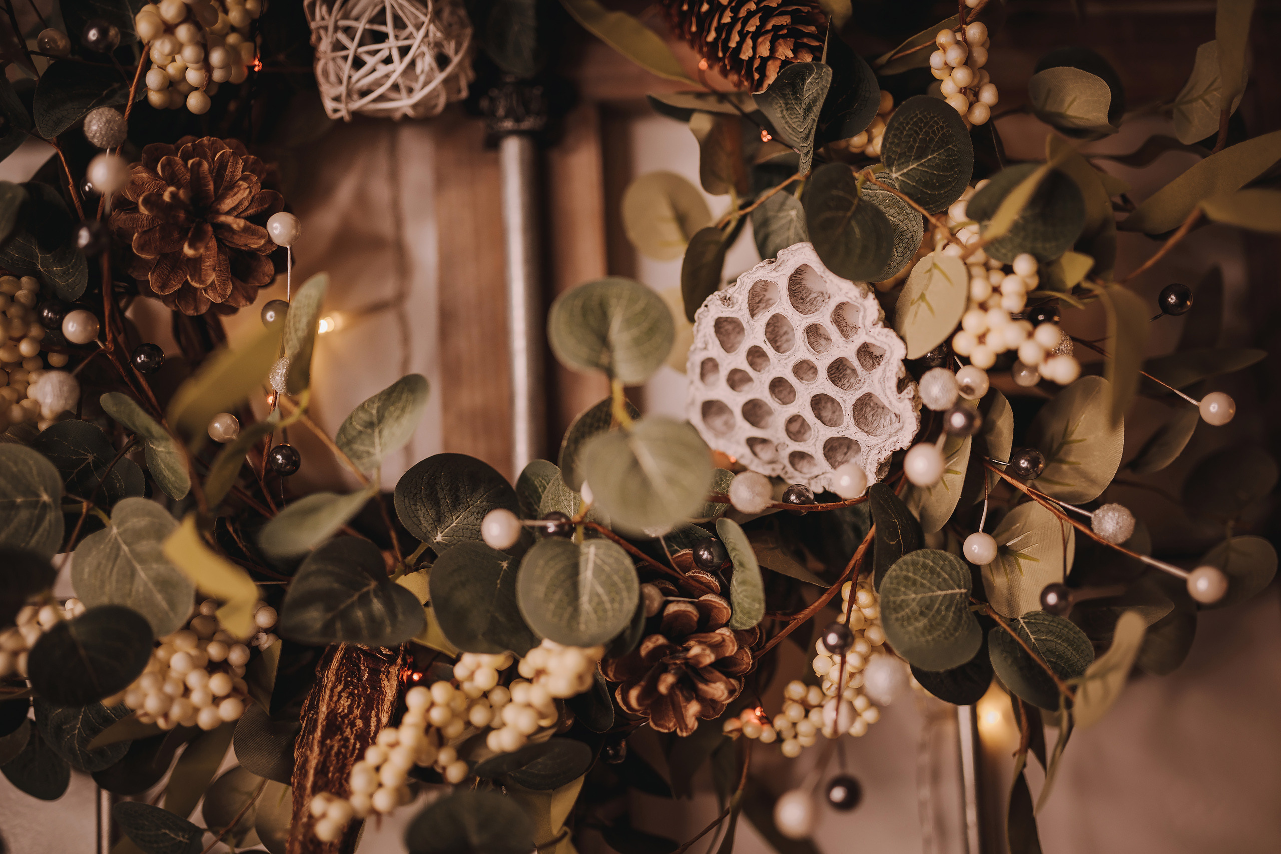 11.12.2022 Christmas Photoshoot 1. Wedding family event photographer in Chicago Nick Yushevich