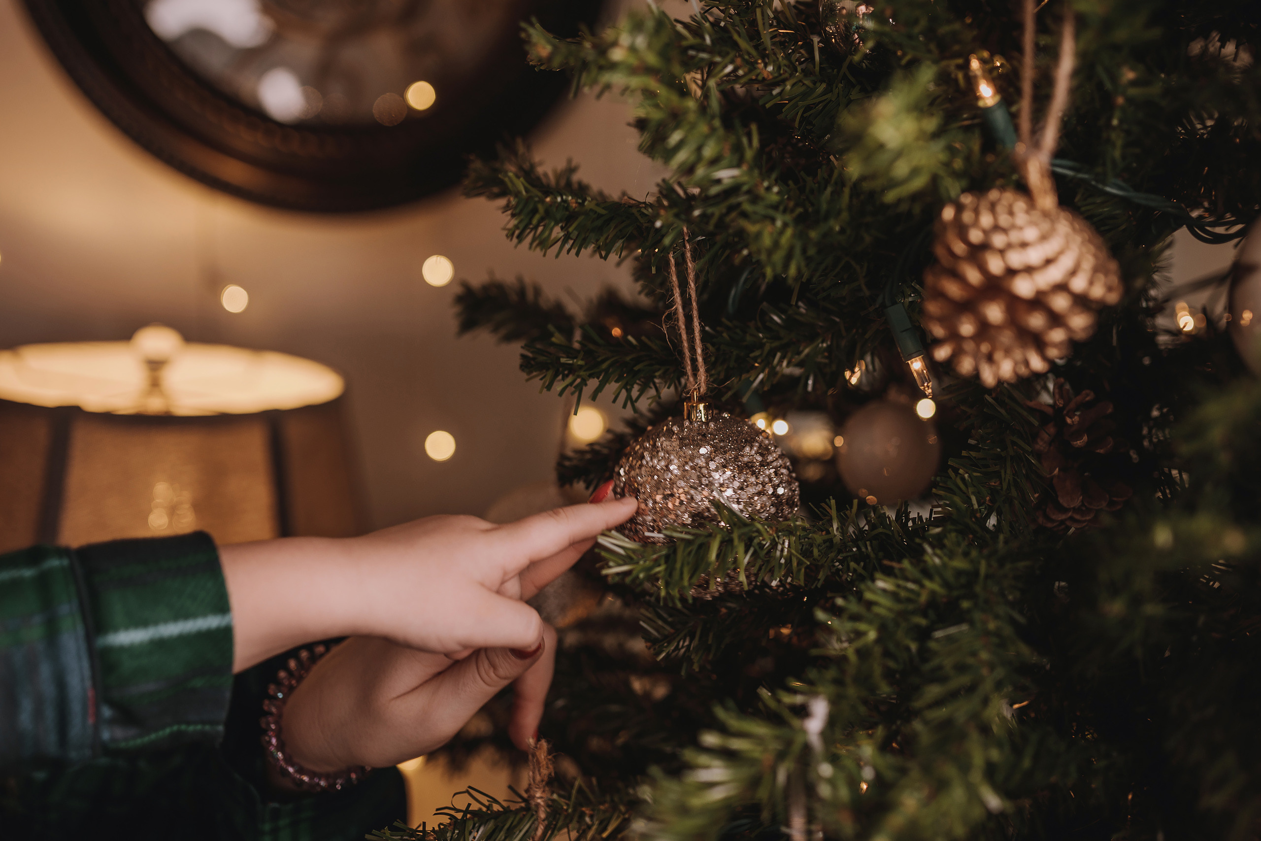 11.27.2022 Christmas Photoshoot 8. Wedding family event photographer in Chicago Nick Yushevich