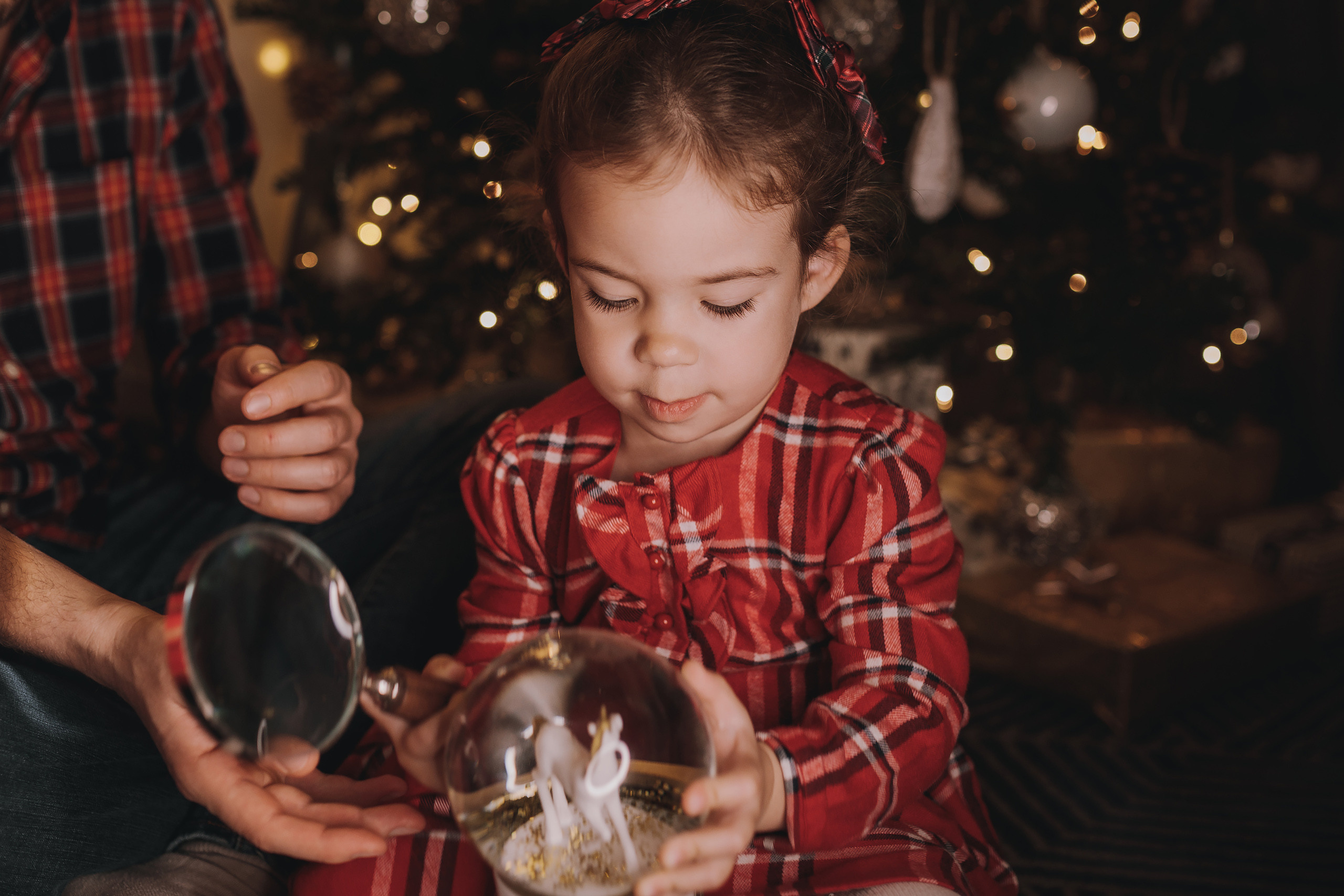 11.14.2022 Christmas Photoshoot 2. Wedding family event photographer in Chicago Nick Yushevich