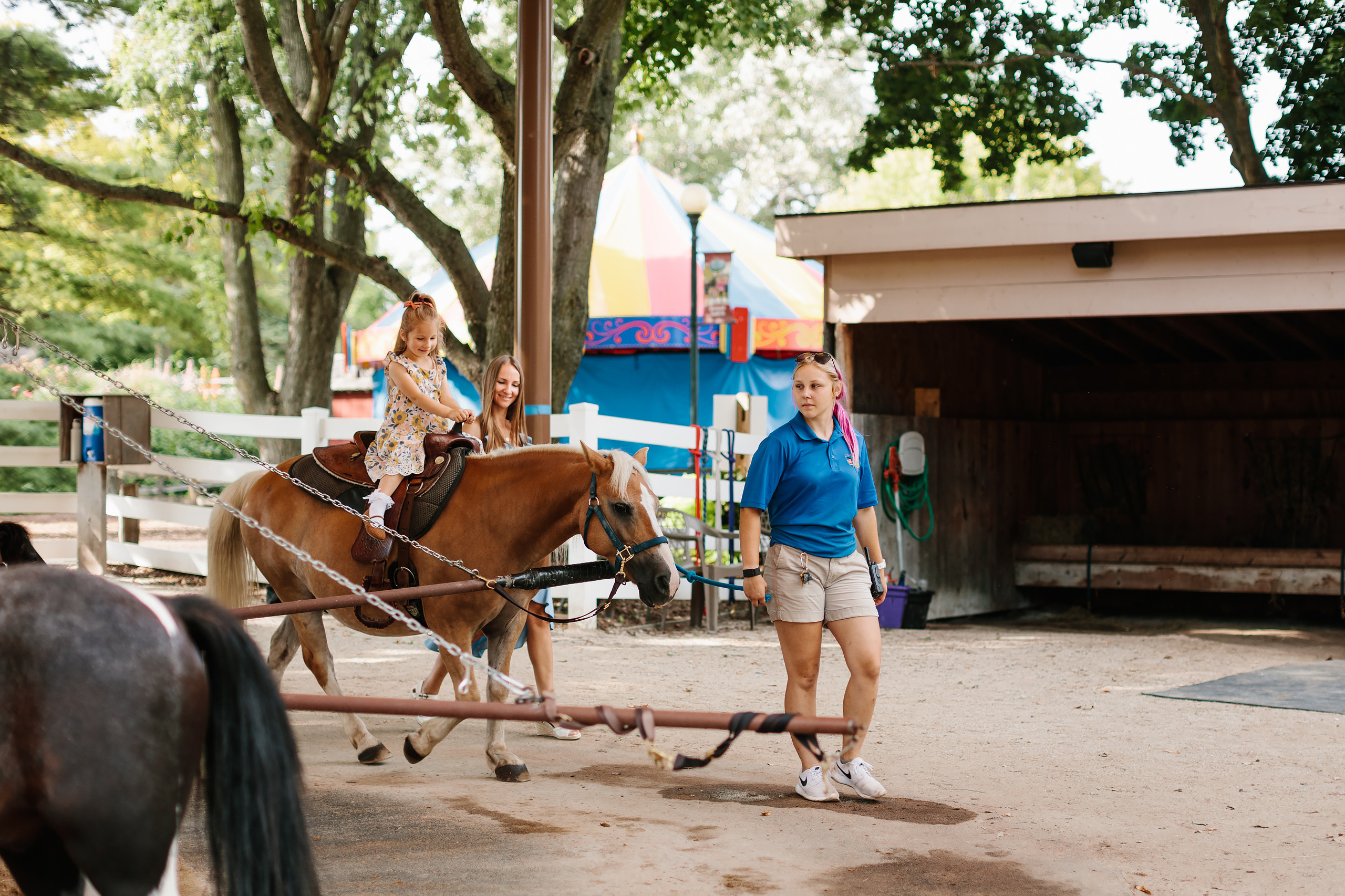 09.03.22 Family Photoshoot. Wedding family event photographer in Chicago Nick Yushevich