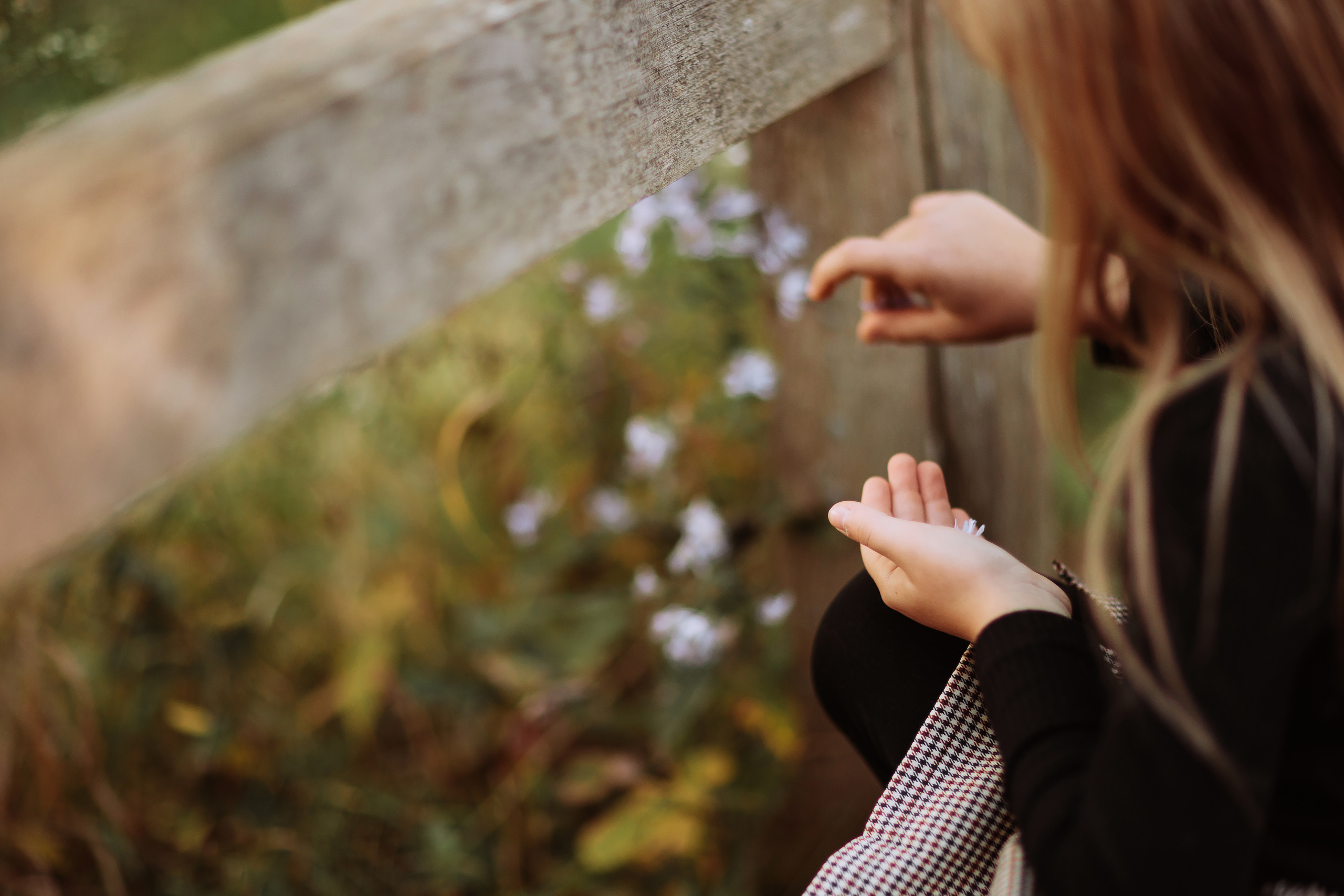 10.02.22 Family Photoshoot. Wedding family event photographer in Chicago Nick Yushevich