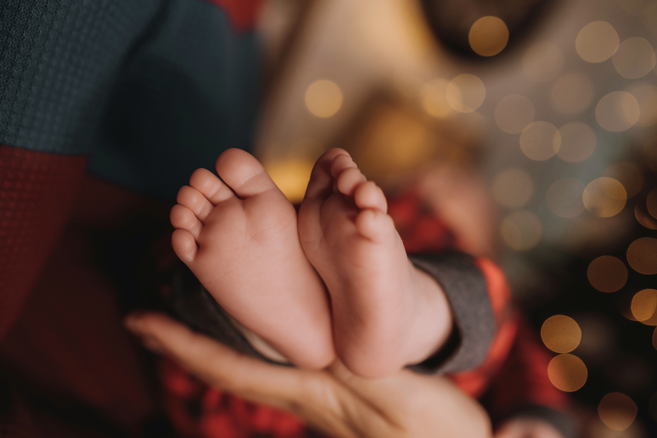 11.26.2022 Christmas Photoshoot 9. Wedding family event photographer in Chicago Nick Yushevich