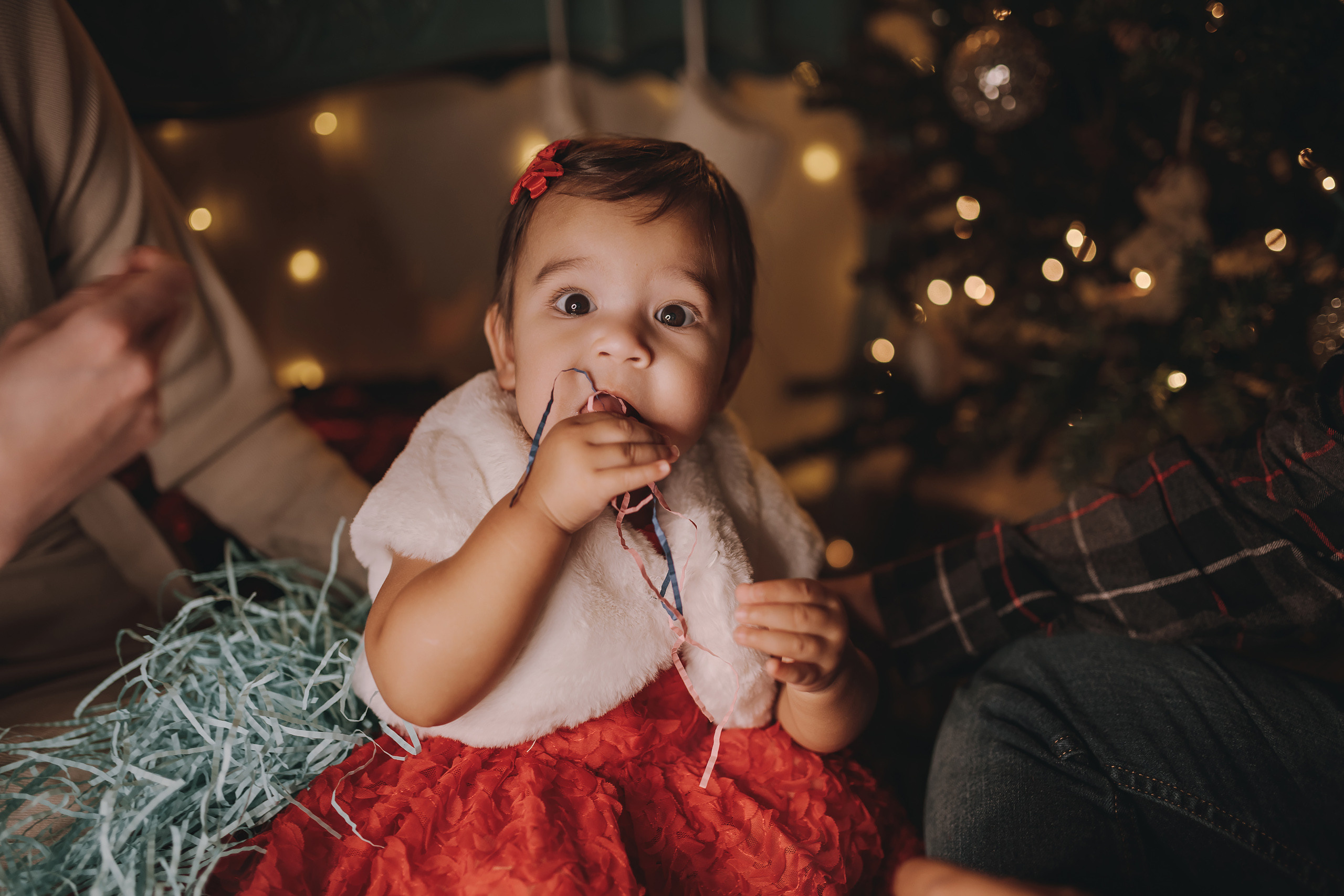 11.16.2022 Christmas Photoshoot 3. Wedding family event photographer in Chicago Nick Yushevich