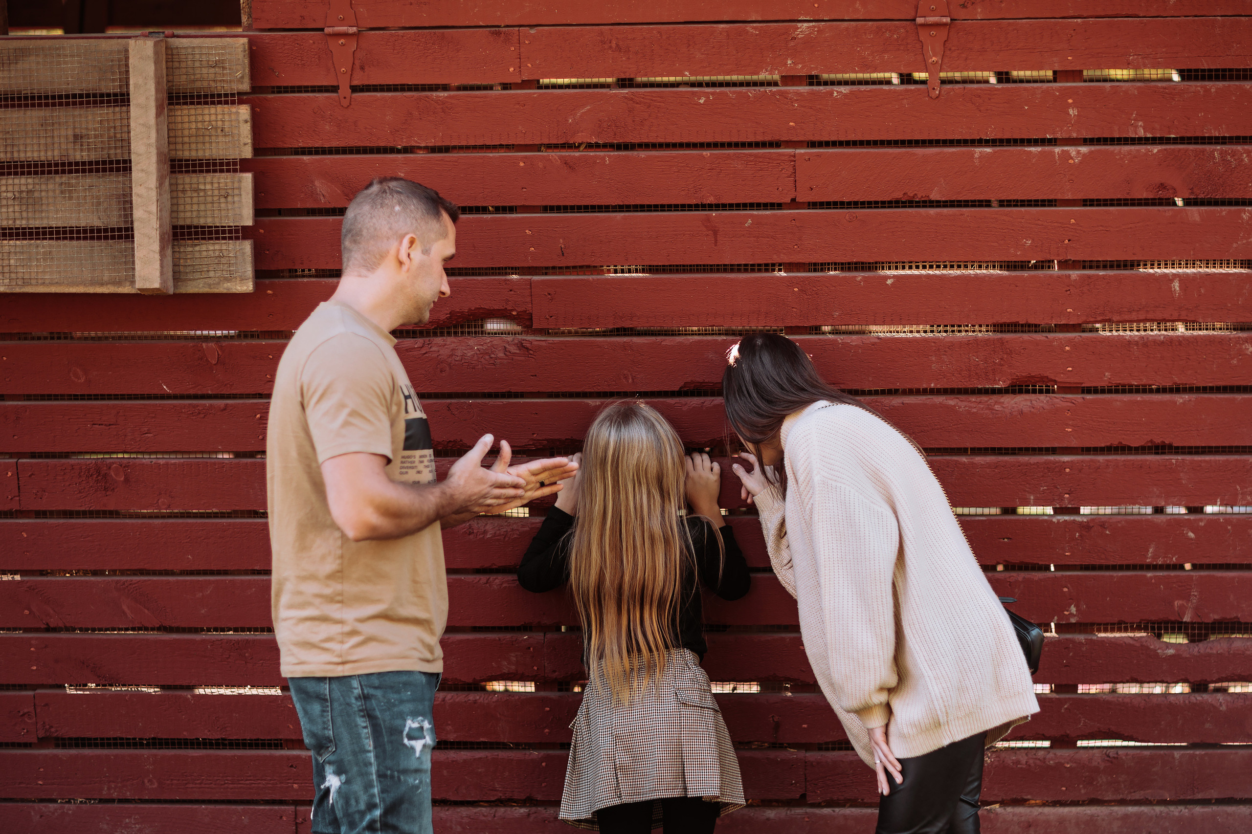 10.02.22 Family Photoshoot. Wedding family event photographer in Chicago Nick Yushevich