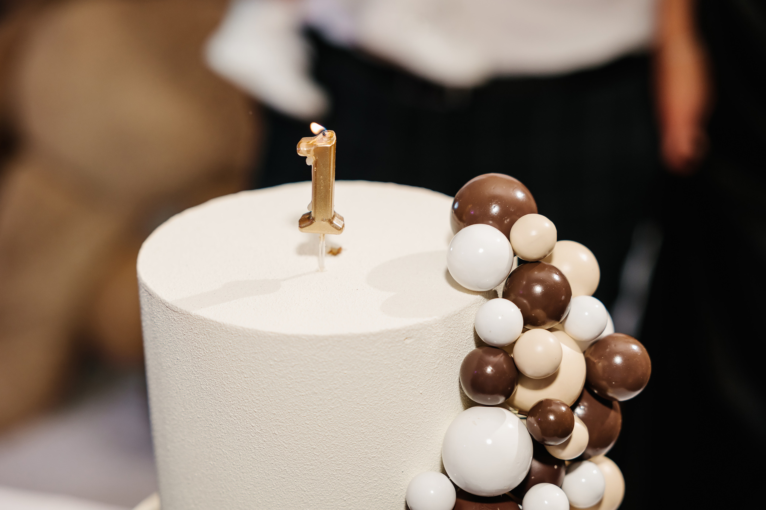 08.20.2022 First birthday. Wedding family event photographer in Chicago Nick Yushevich