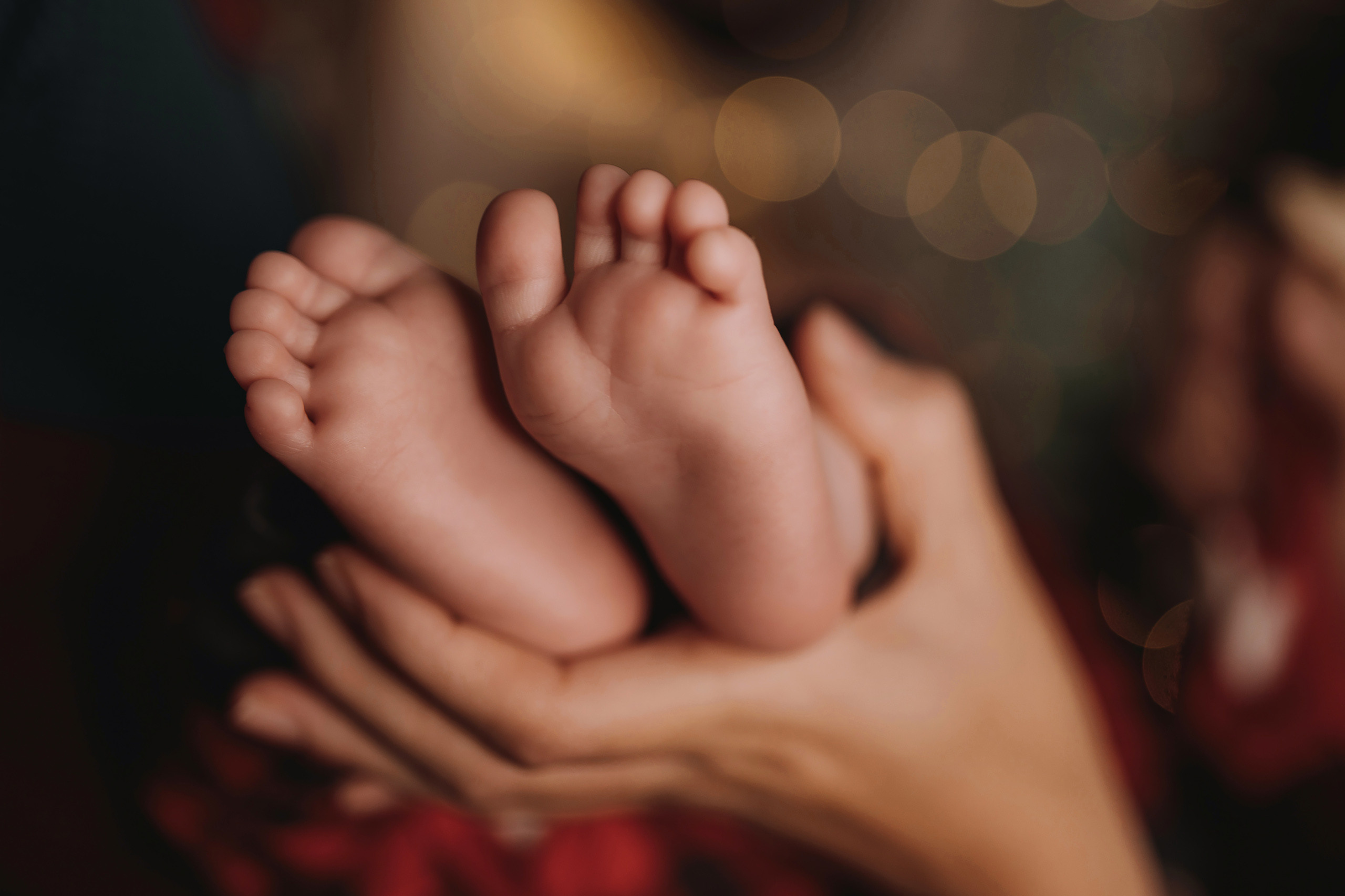 11.26.2022 Christmas Photoshoot 9. Wedding family event photographer in Chicago Nick Yushevich