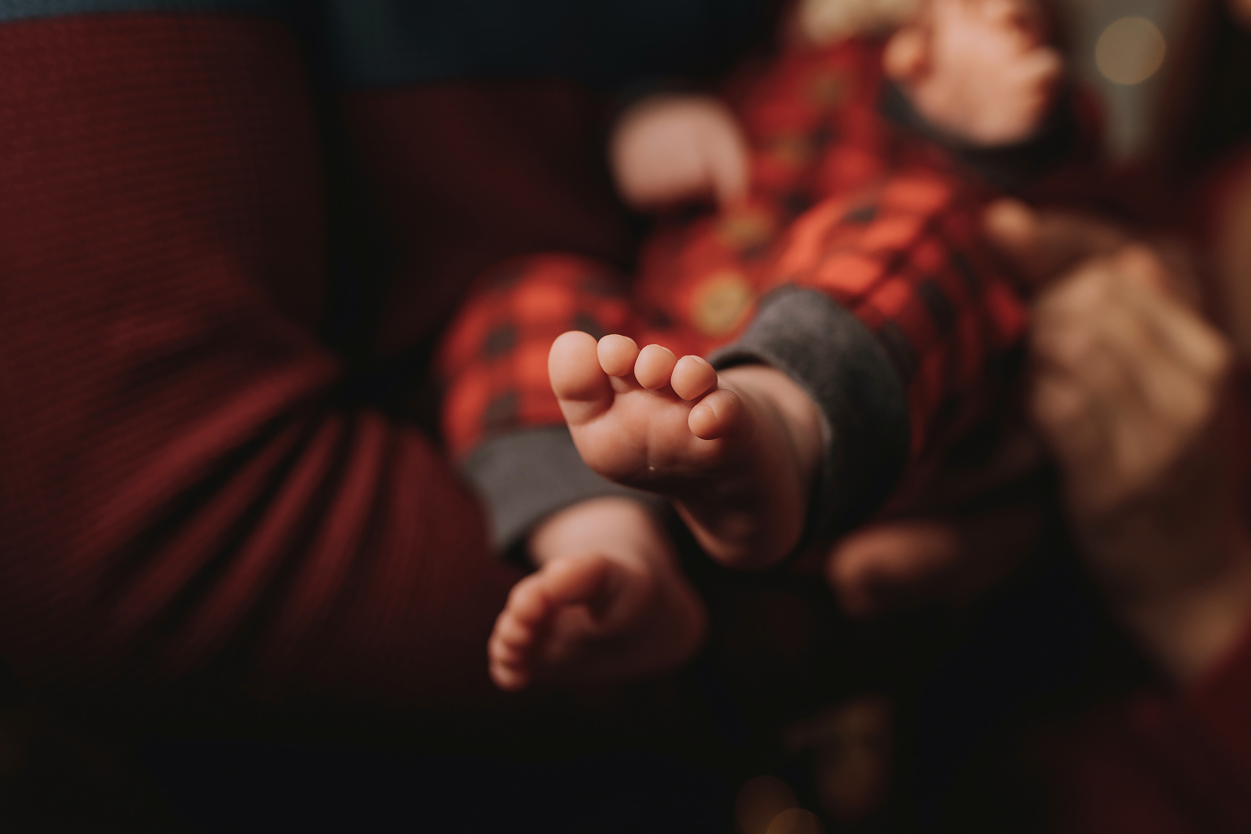 11.26.2022 Christmas Photoshoot 9. Wedding family event photographer in Chicago Nick Yushevich