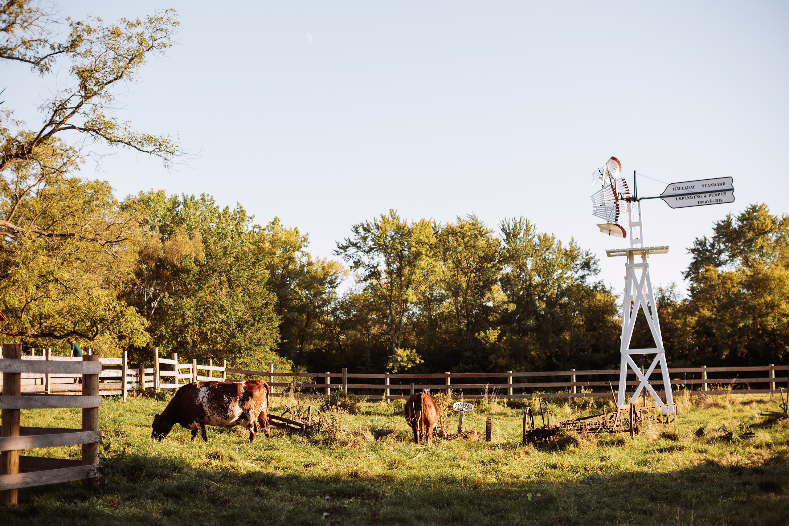 10.02.22 Family Photoshoot. Wedding family event photographer in Chicago Nick Yushevich