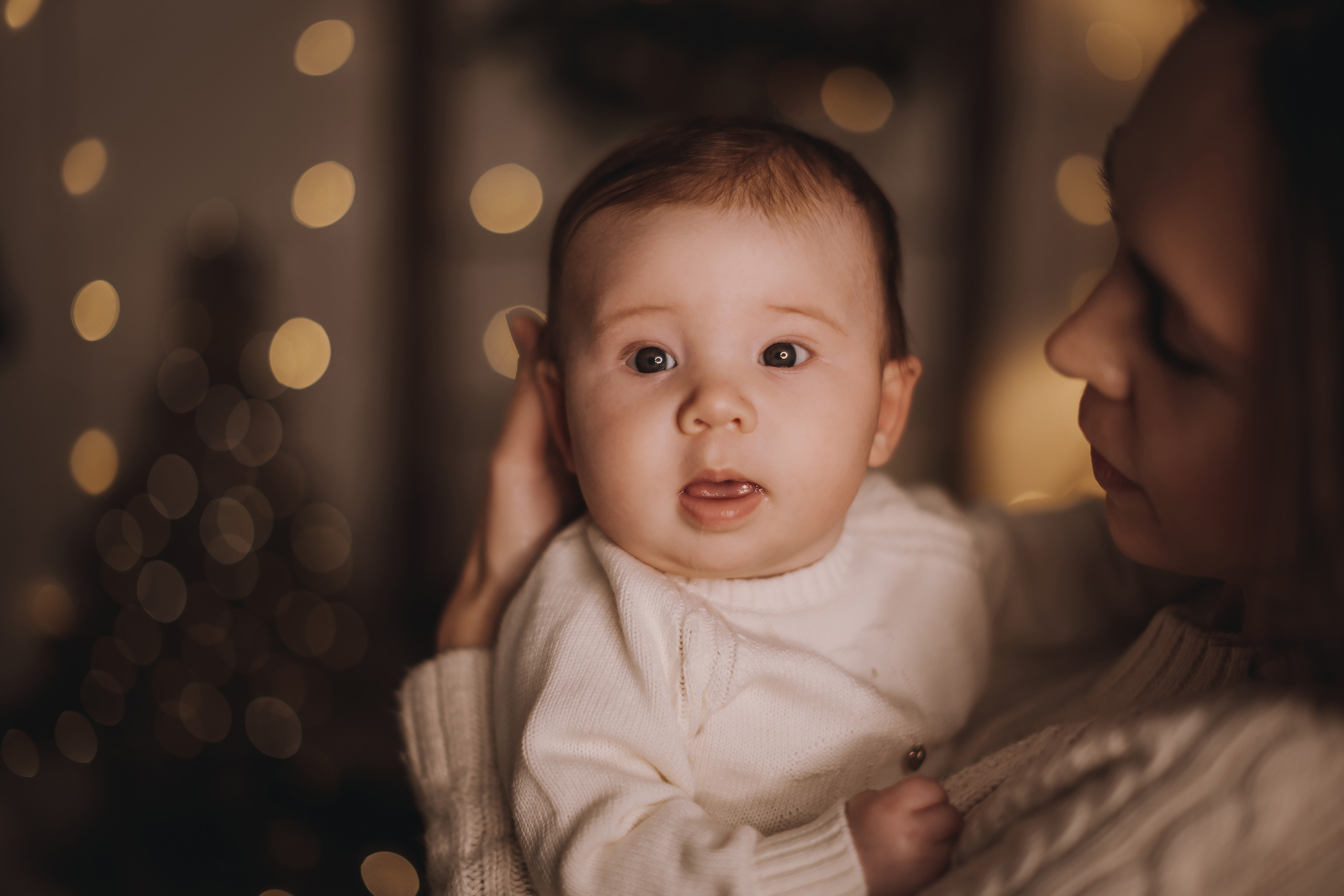 11.14.2022 Christmas Photoshoot 2. Wedding family event photographer in Chicago Nick Yushevich