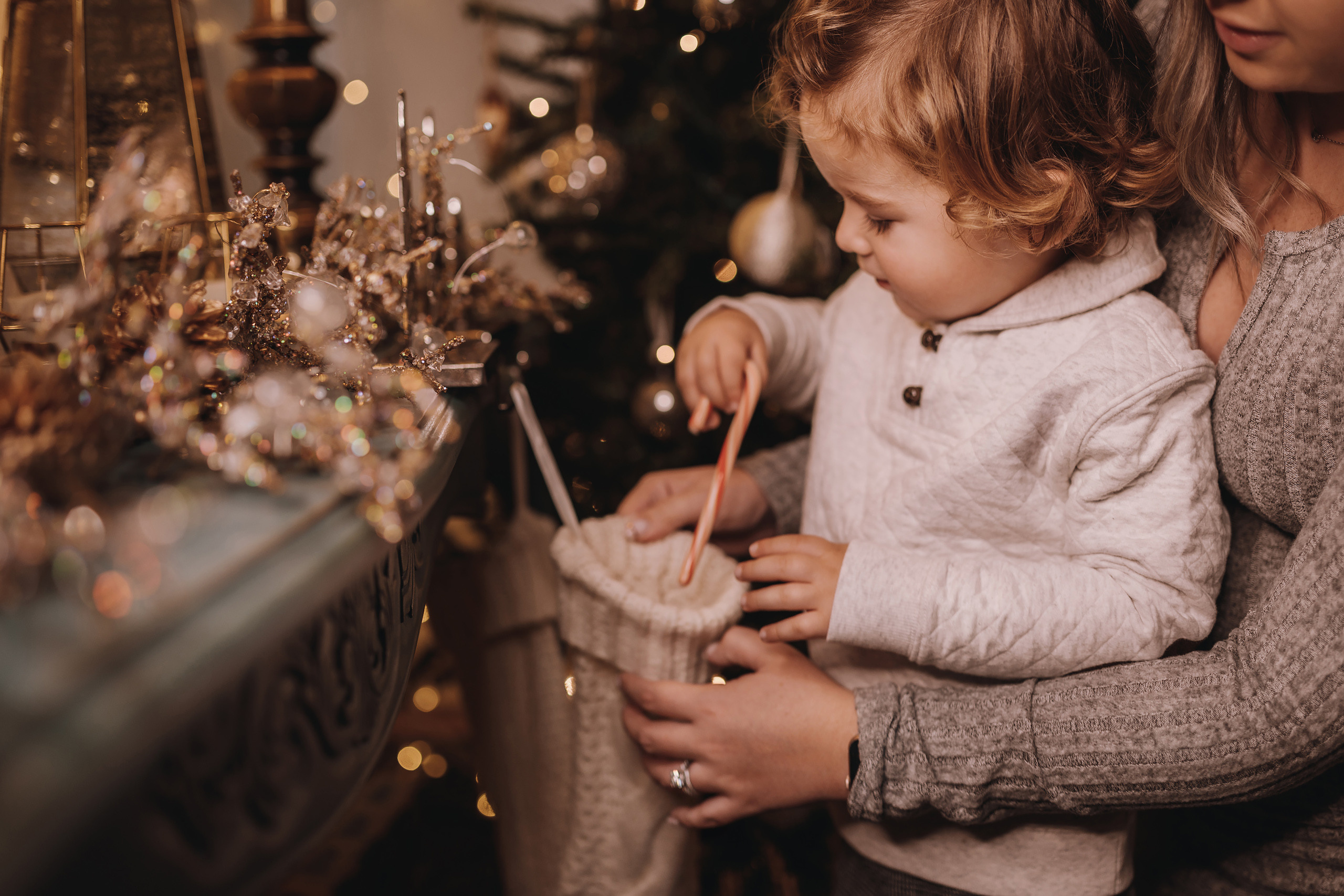 11.27.2022 Christmas Photoshoot 7. Wedding family event photographer in Chicago Nick Yushevich