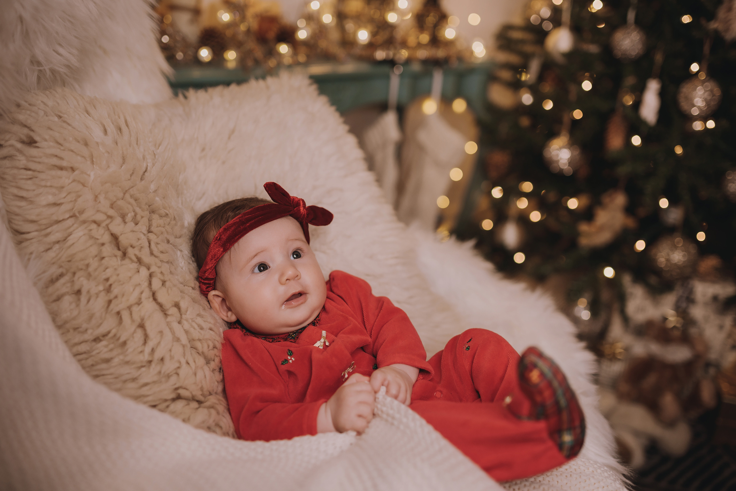 11.14.2022 Christmas Photoshoot 2. Wedding family event photographer in Chicago Nick Yushevich