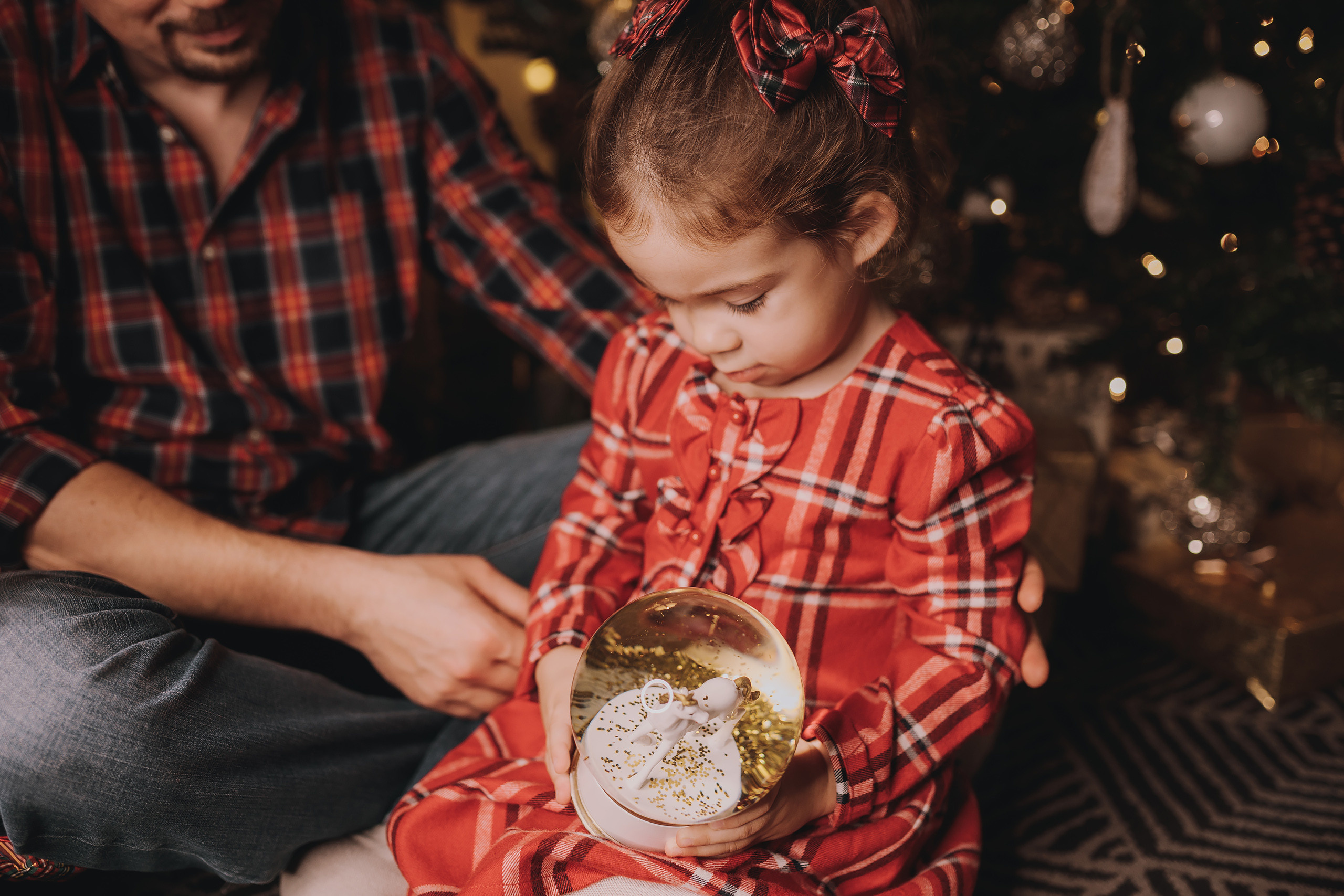 11.14.2022 Christmas Photoshoot 2. Wedding family event photographer in Chicago Nick Yushevich