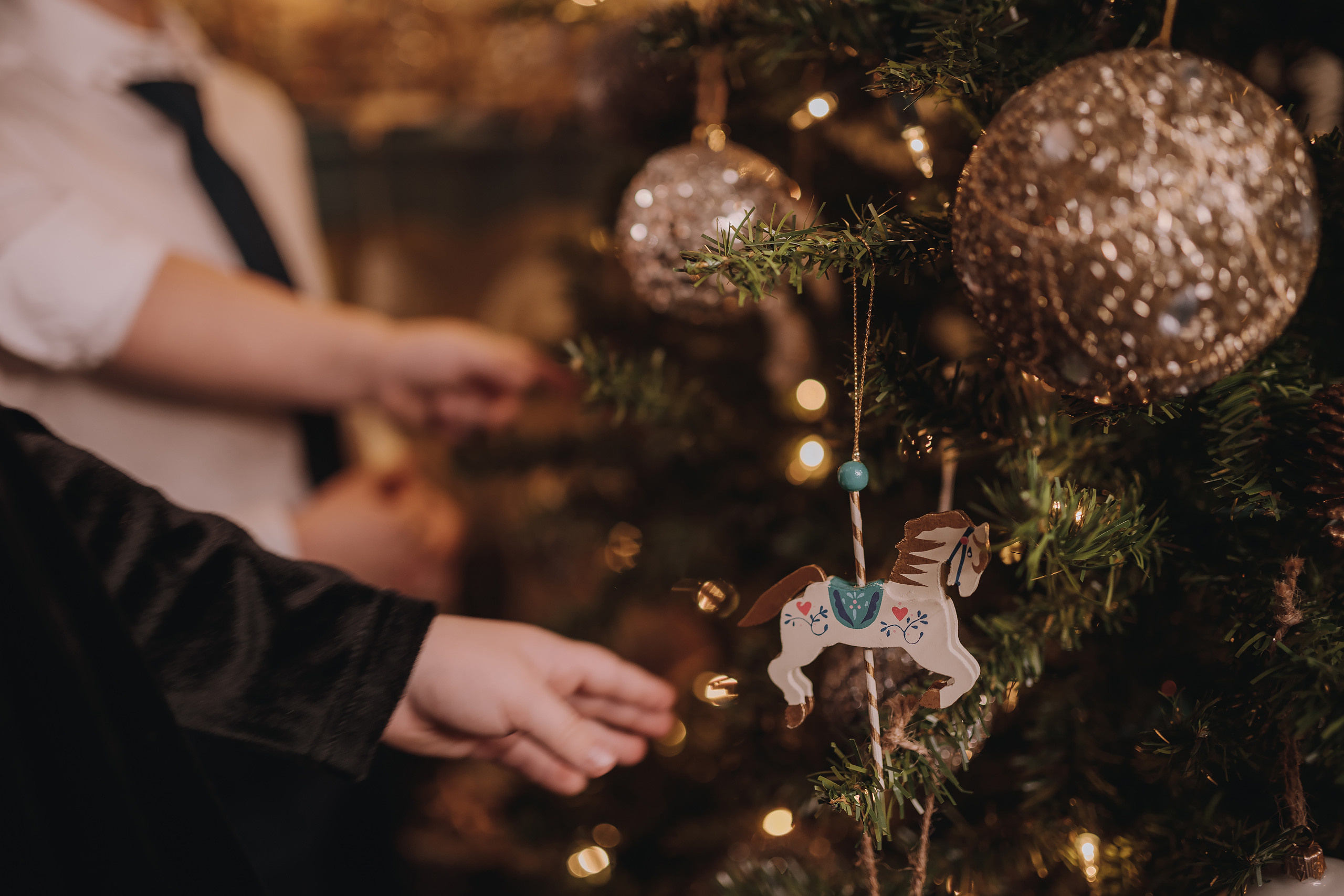 11.25.2022 Christmas Photoshoot 5. Wedding family event photographer in Chicago Nick Yushevich