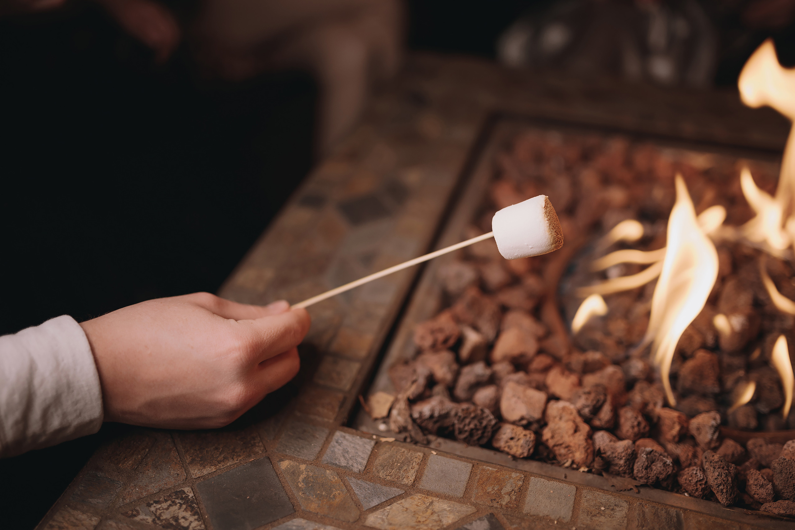 11.26.2022 Christmas Photoshoot. Wedding family event photographer in Chicago Nick Yushevich