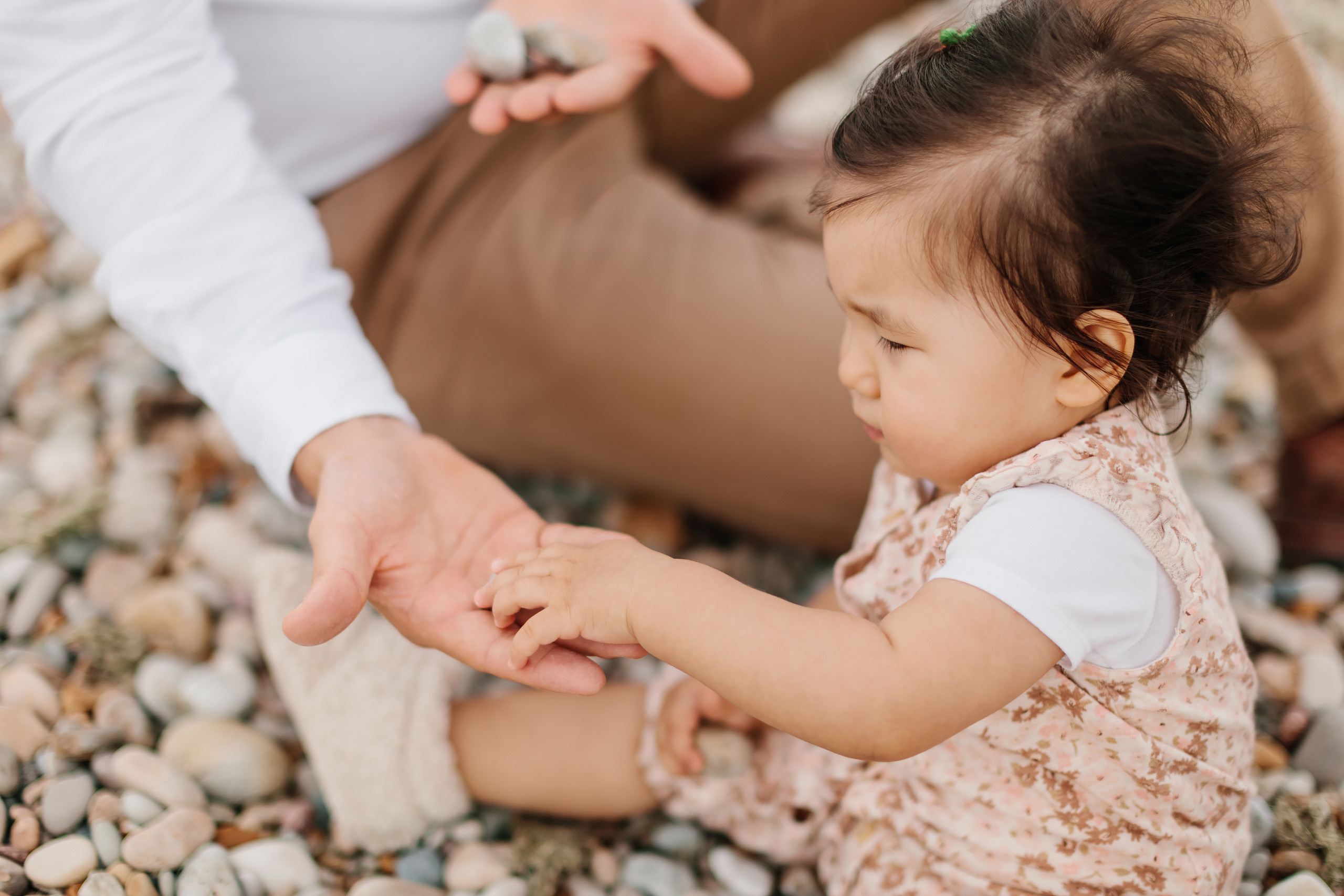 10.23.22 Family Photoshoot. Wedding family event photographer in Chicago Nick Yushevich