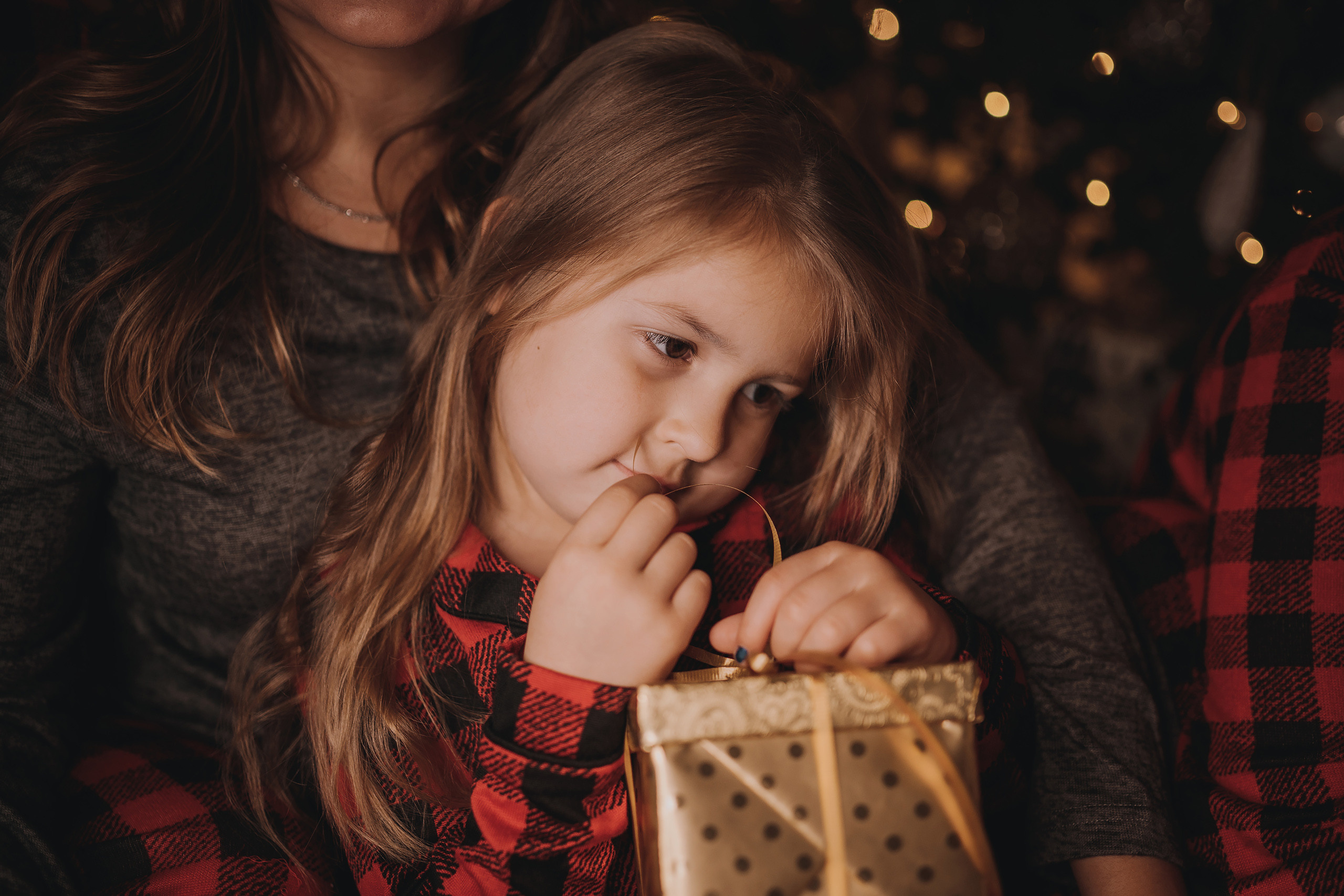 11.12.2022 Christmas Photoshoot 1. Wedding family event photographer in Chicago Nick Yushevich