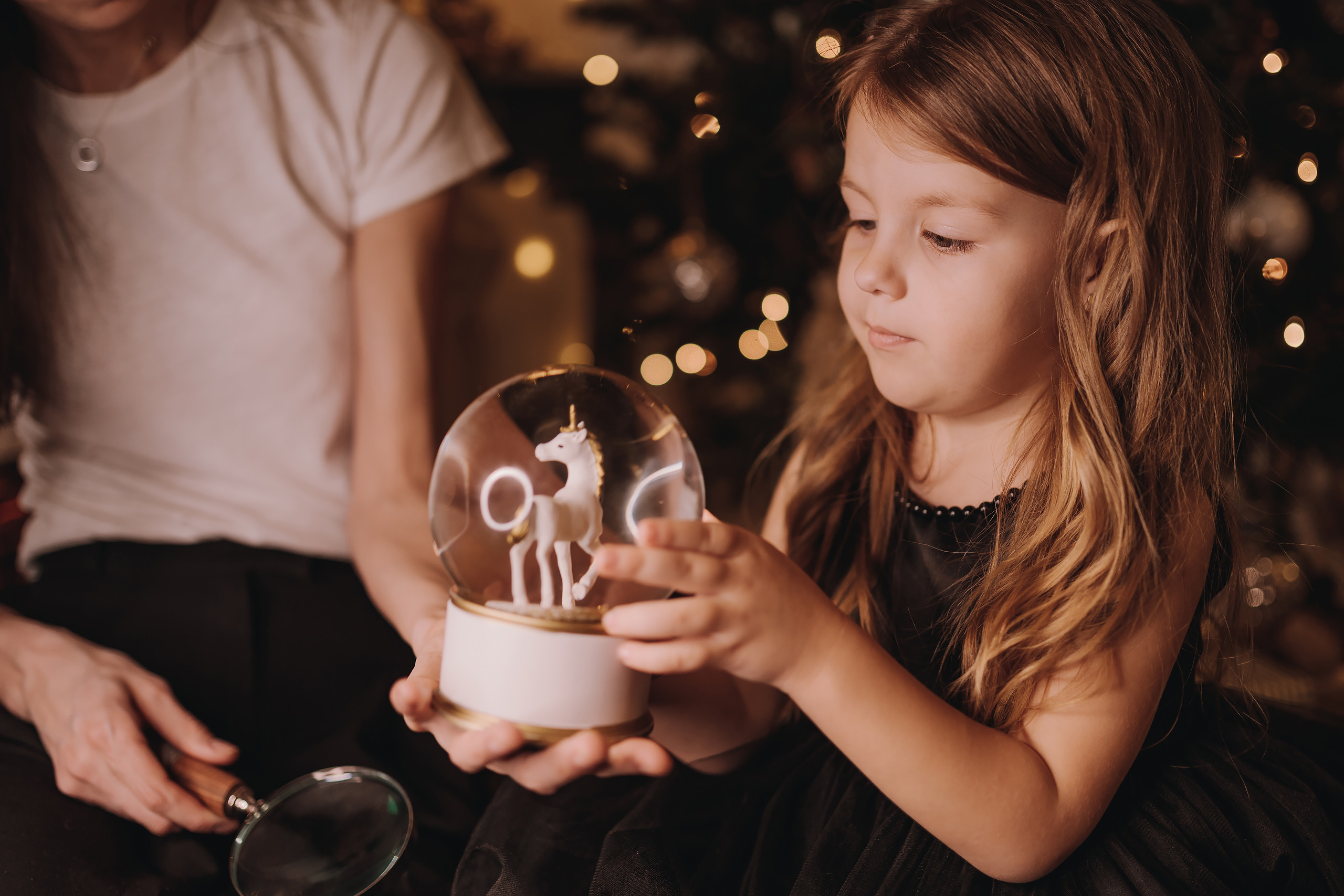 11.25.2022 Christmas Photoshoot 6. Wedding family event photographer in Chicago Nick Yushevich