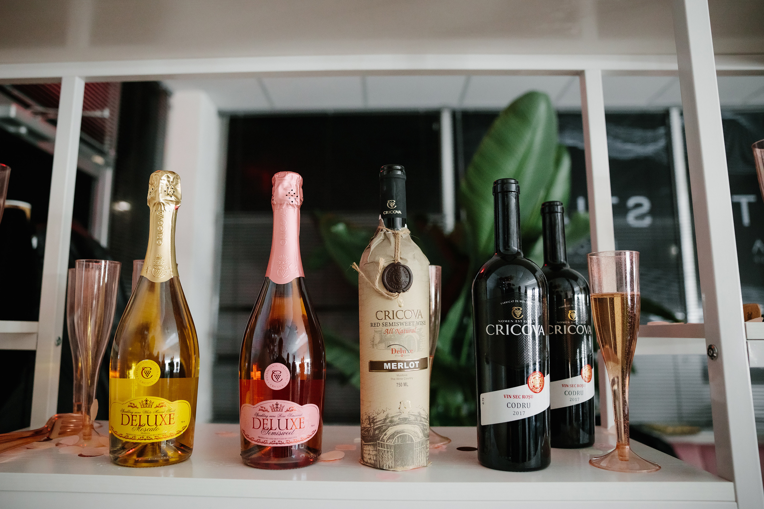 Grand Opening Trynkina Makeup 11.20.2022. Wedding family event photographer in Chicago Nick Yushevich