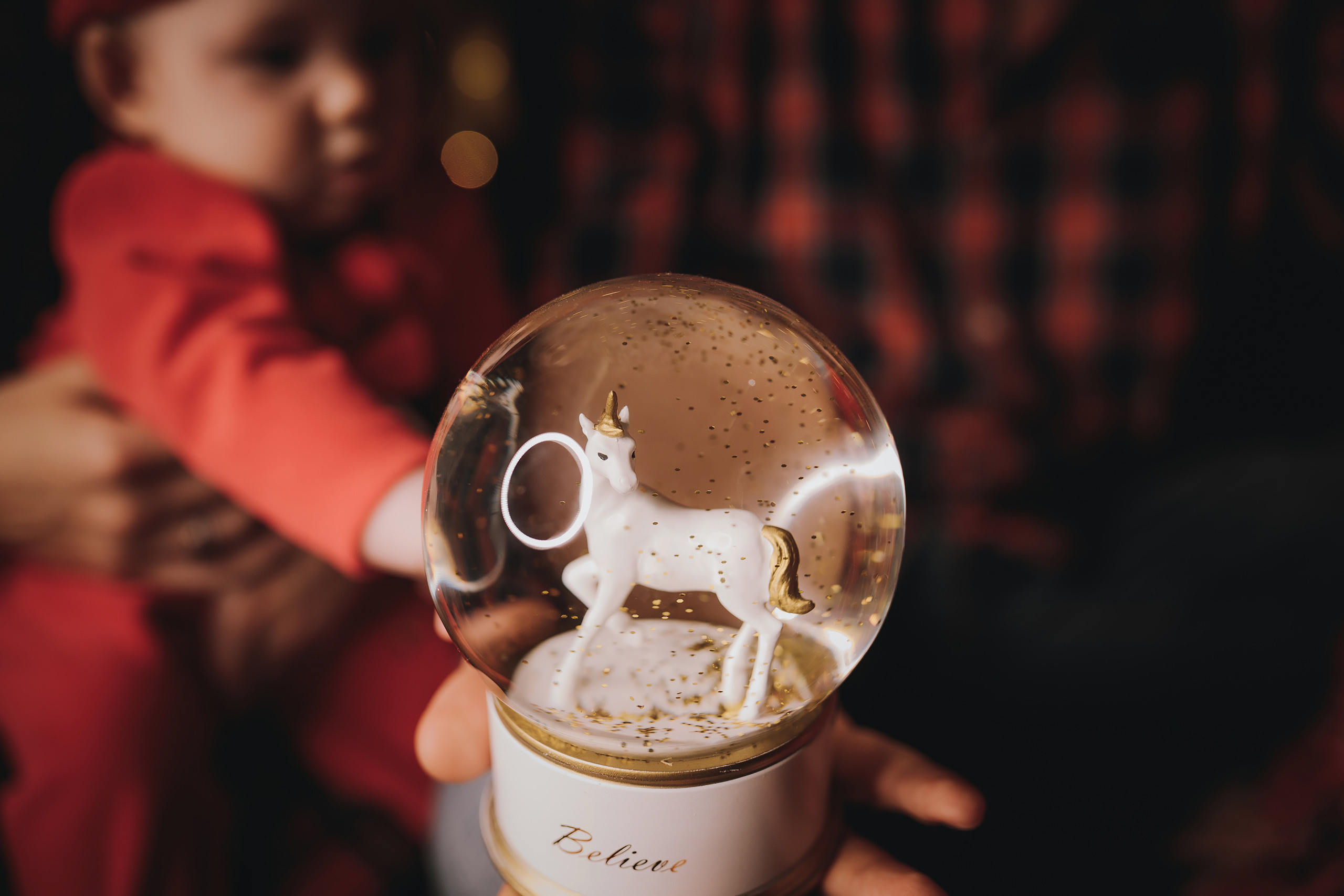 11.14.2022 Christmas Photoshoot 2. Wedding family event photographer in Chicago Nick Yushevich