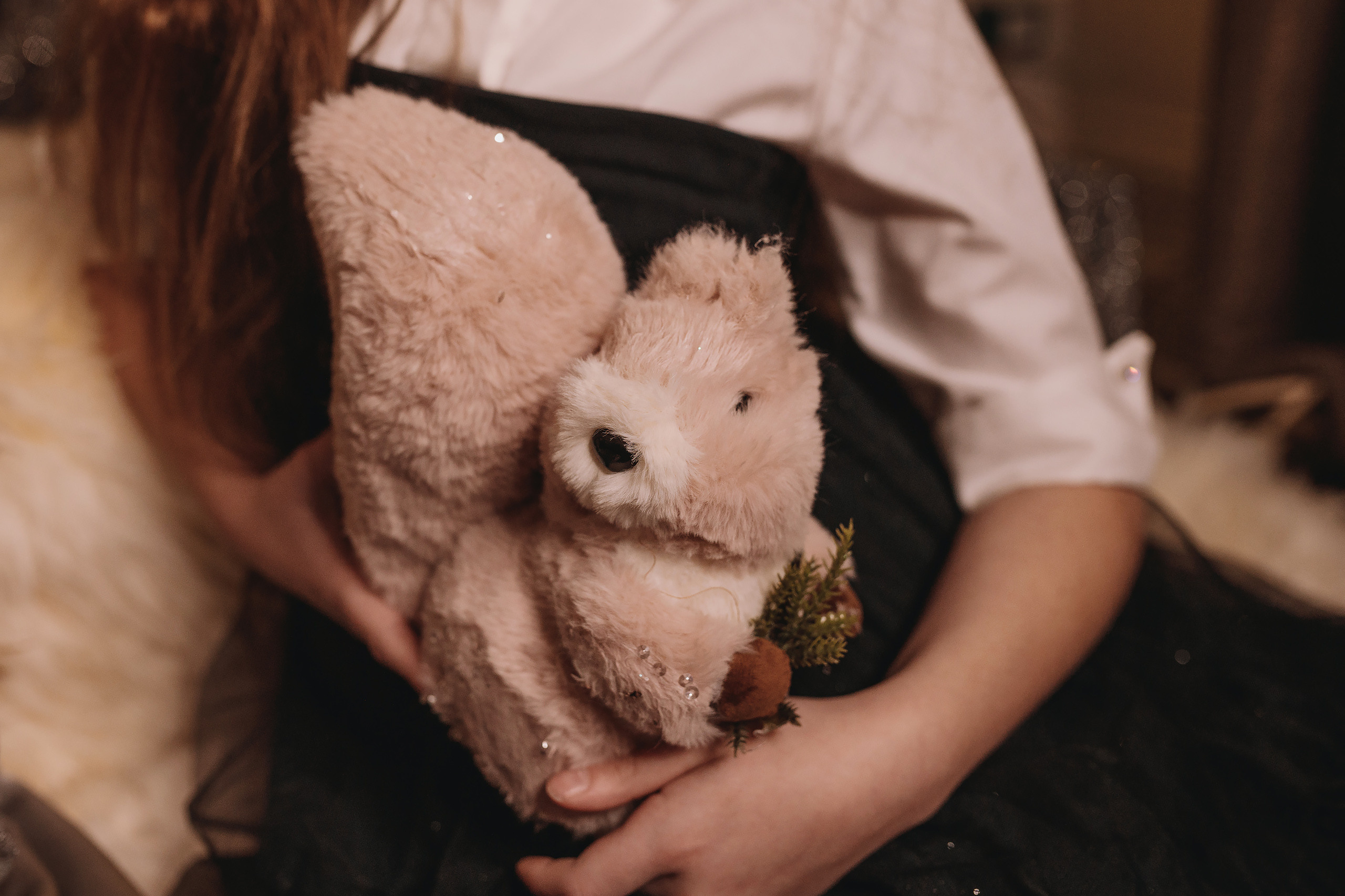 11.26.2022 Christmas Photoshoot. Wedding family event photographer in Chicago Nick Yushevich