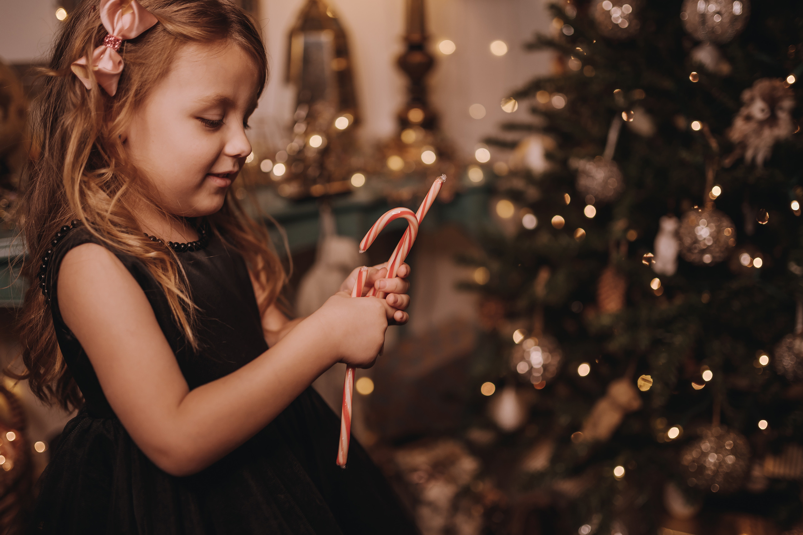 11.25.2022 Christmas Photoshoot 6. Wedding family event photographer in Chicago Nick Yushevich