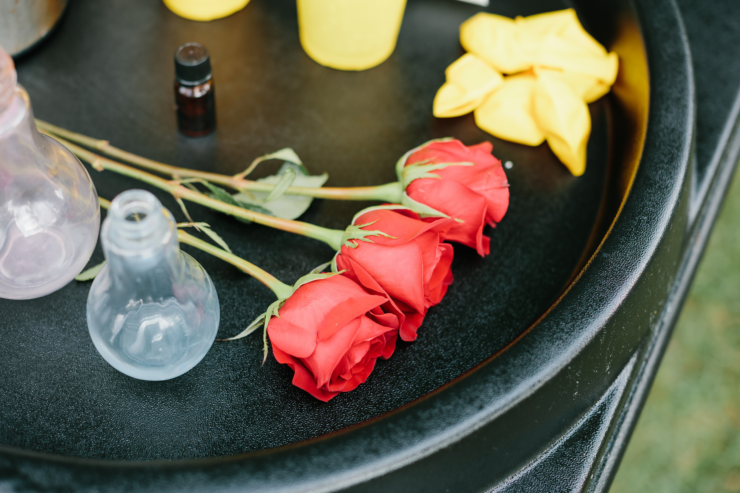 08.28.2022 Birthday Party. Wedding family event photographer in Chicago Nick Yushevich