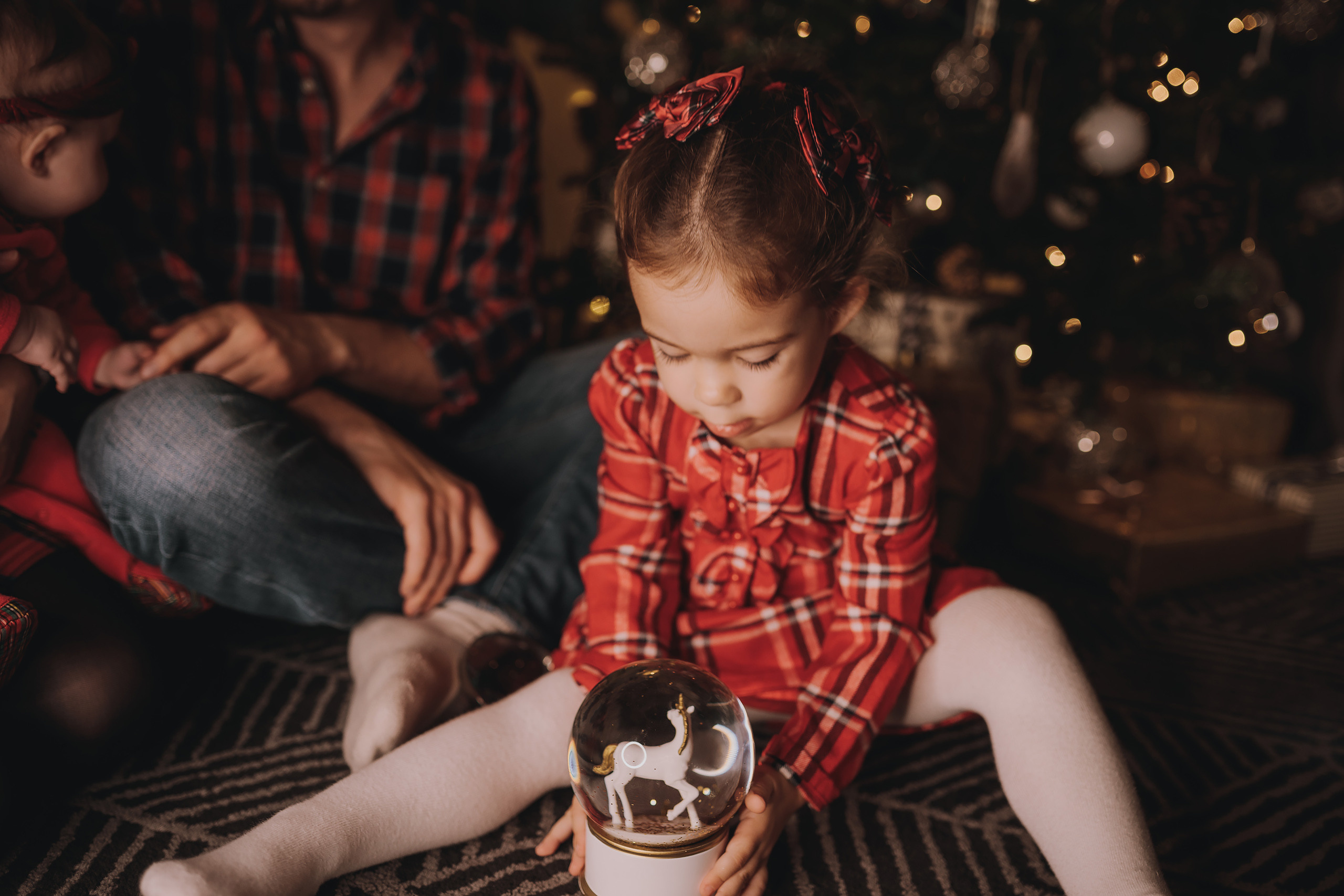 11.14.2022 Christmas Photoshoot 2. Wedding family event photographer in Chicago Nick Yushevich