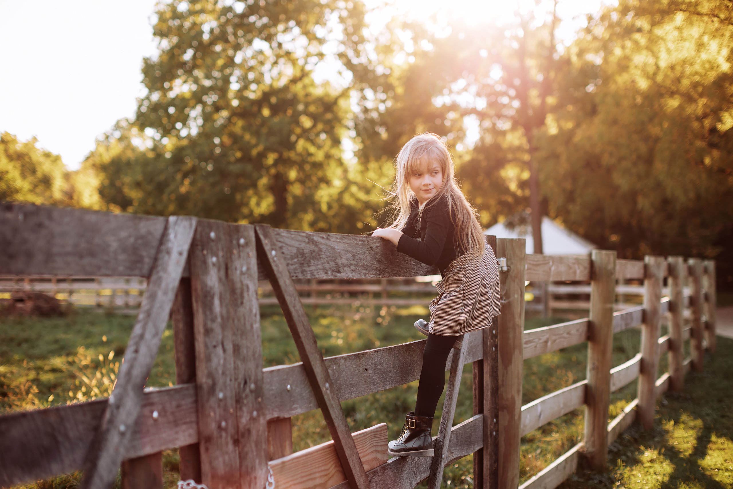 10.02.22 Family Photoshoot. Wedding family event photographer in Chicago Nick Yushevich