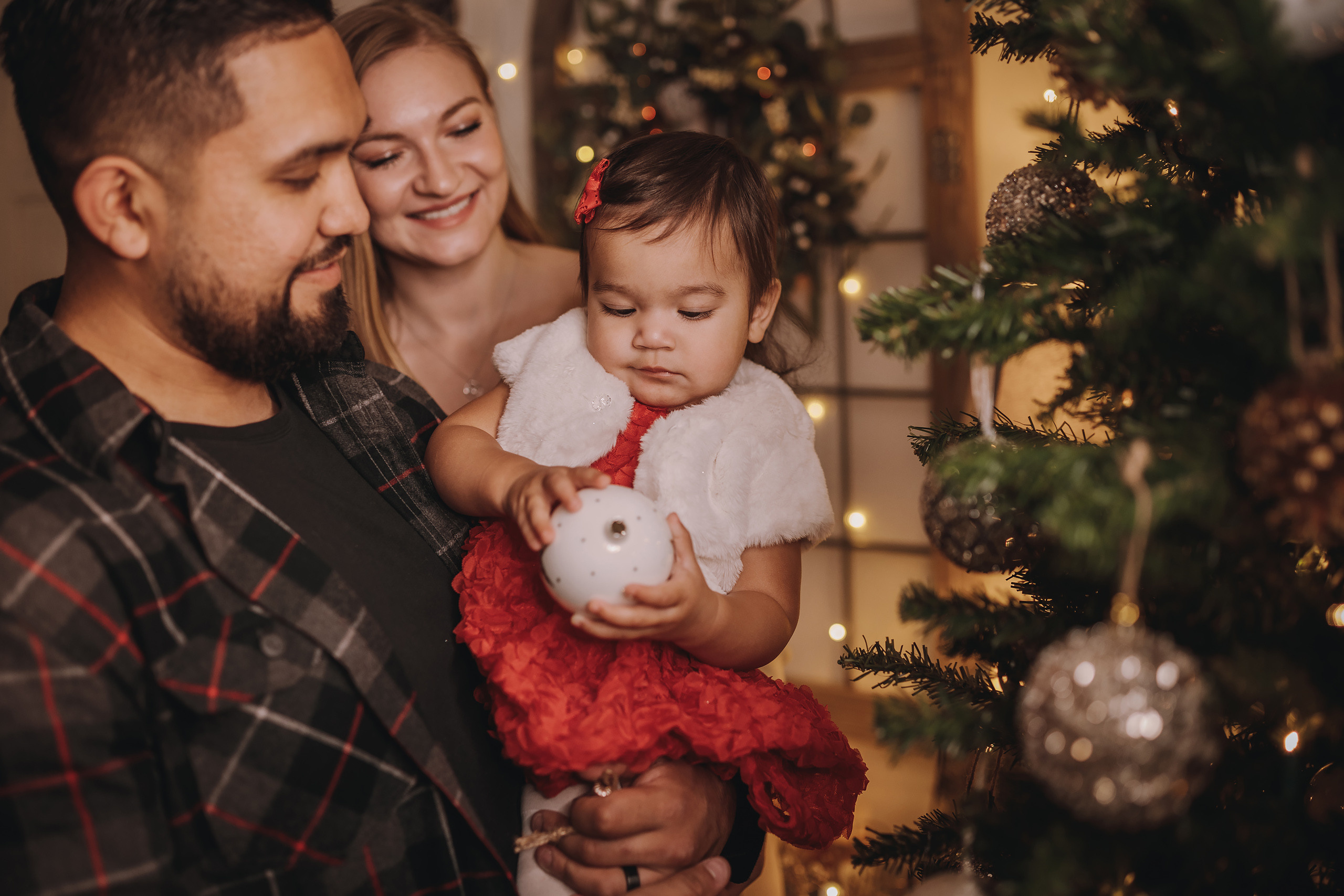 11.16.2022 Christmas Photoshoot 3. Wedding family event photographer in Chicago Nick Yushevich