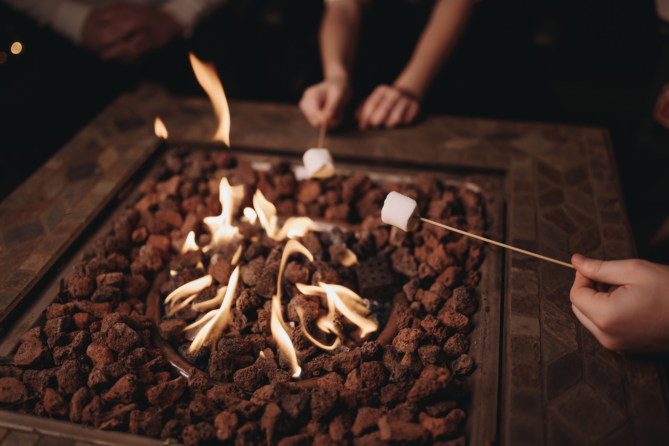 11.26.2022 Christmas Photoshoot. Wedding family event photographer in Chicago Nick Yushevich