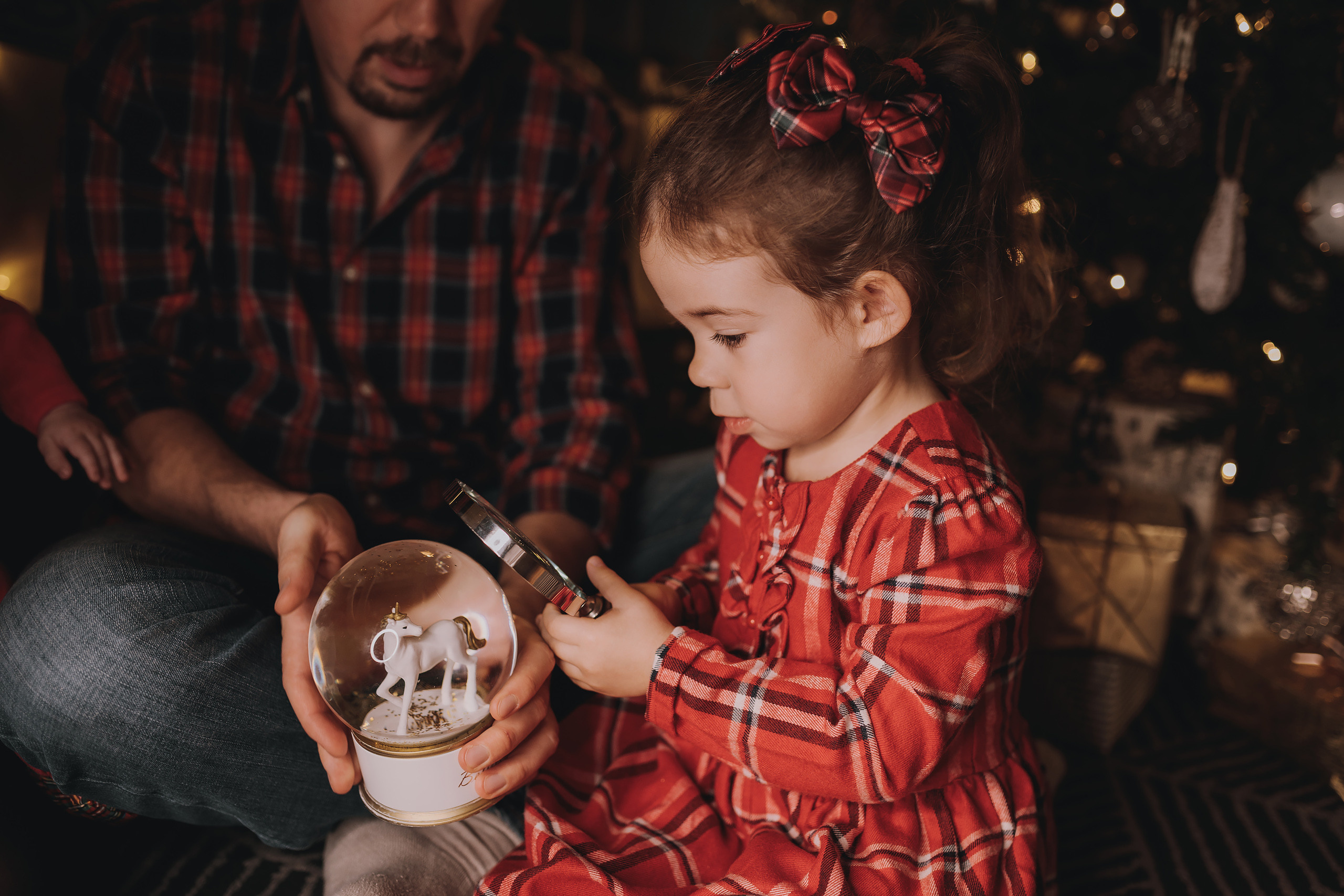 11.14.2022 Christmas Photoshoot 2. Wedding family event photographer in Chicago Nick Yushevich