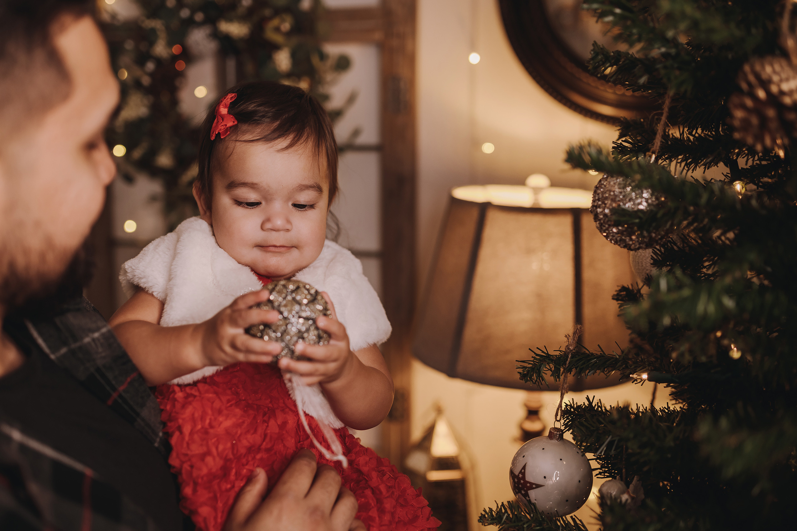 11.16.2022 Christmas Photoshoot 3. Wedding family event photographer in Chicago Nick Yushevich