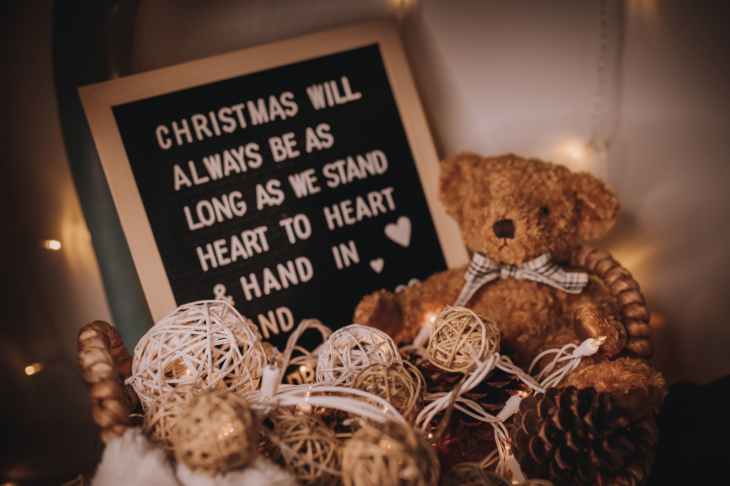 11.12.2022 Christmas Photoshoot 1. Wedding family event photographer in Chicago Nick Yushevich