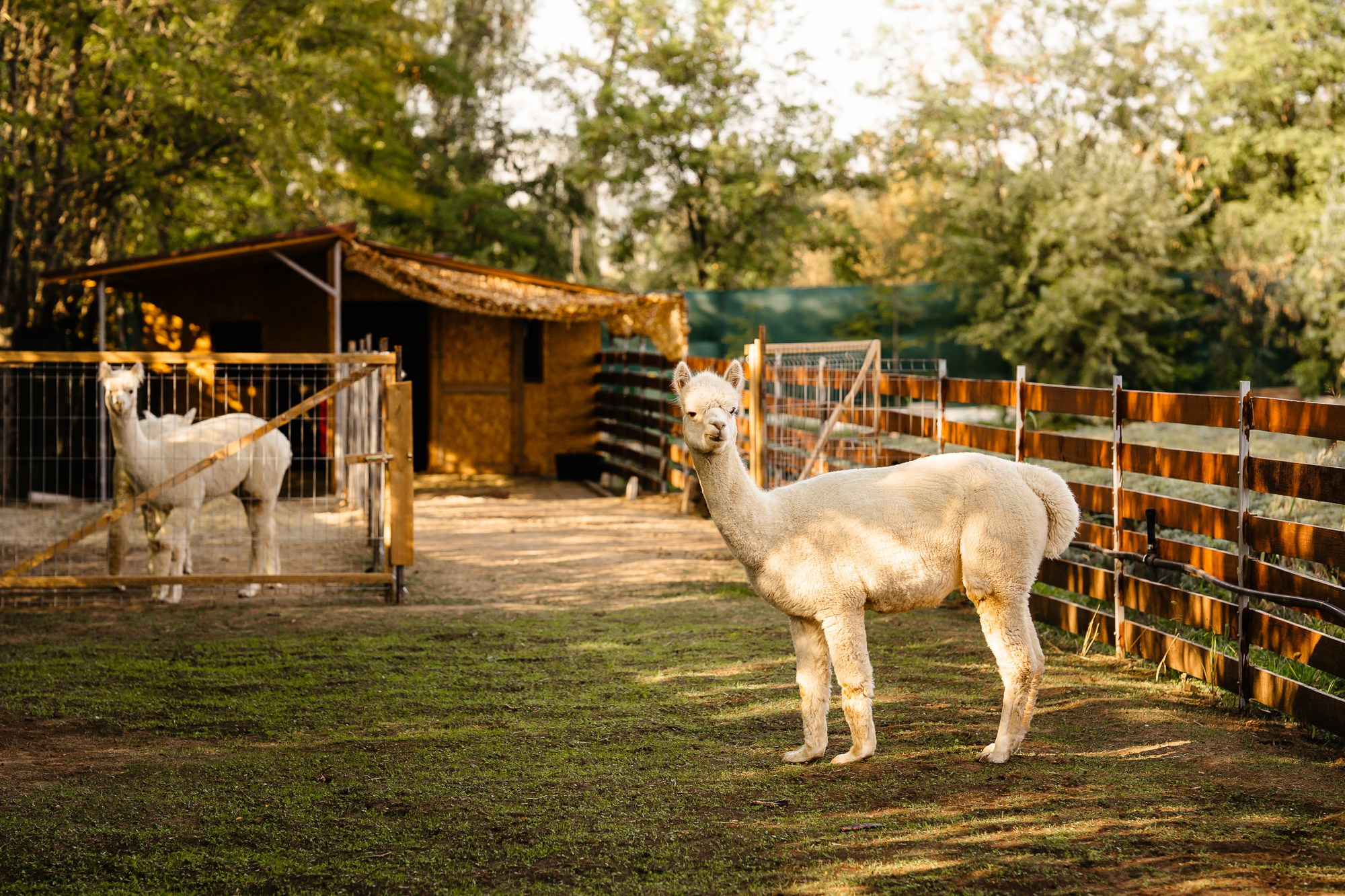 Fotografie Imobiliară Profesională | Birouri & Spații. Fotograf Corporate Business
