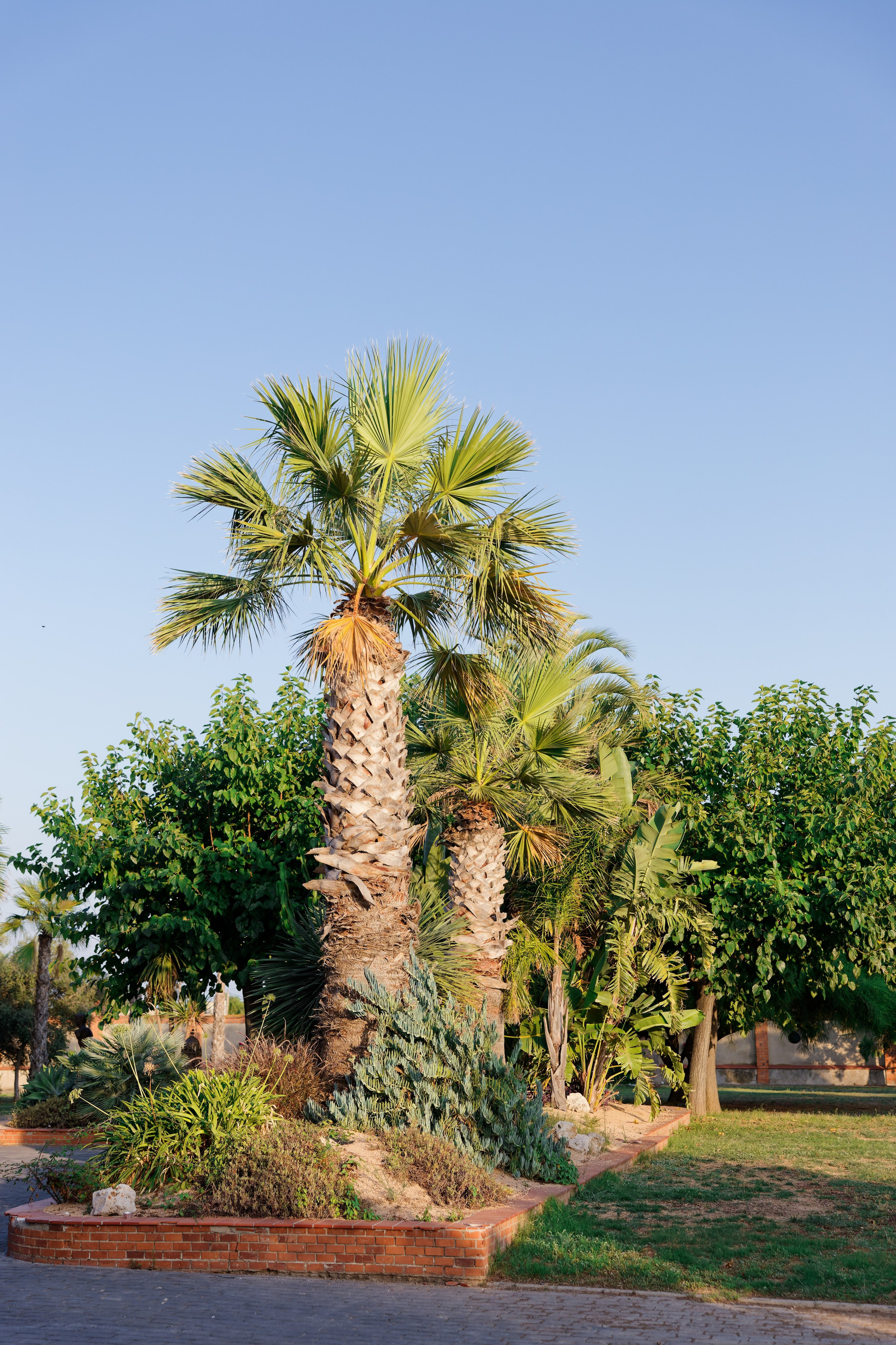 Haldi Ceremony & Mehndi Night & pre-wedding dinner, Barcelona