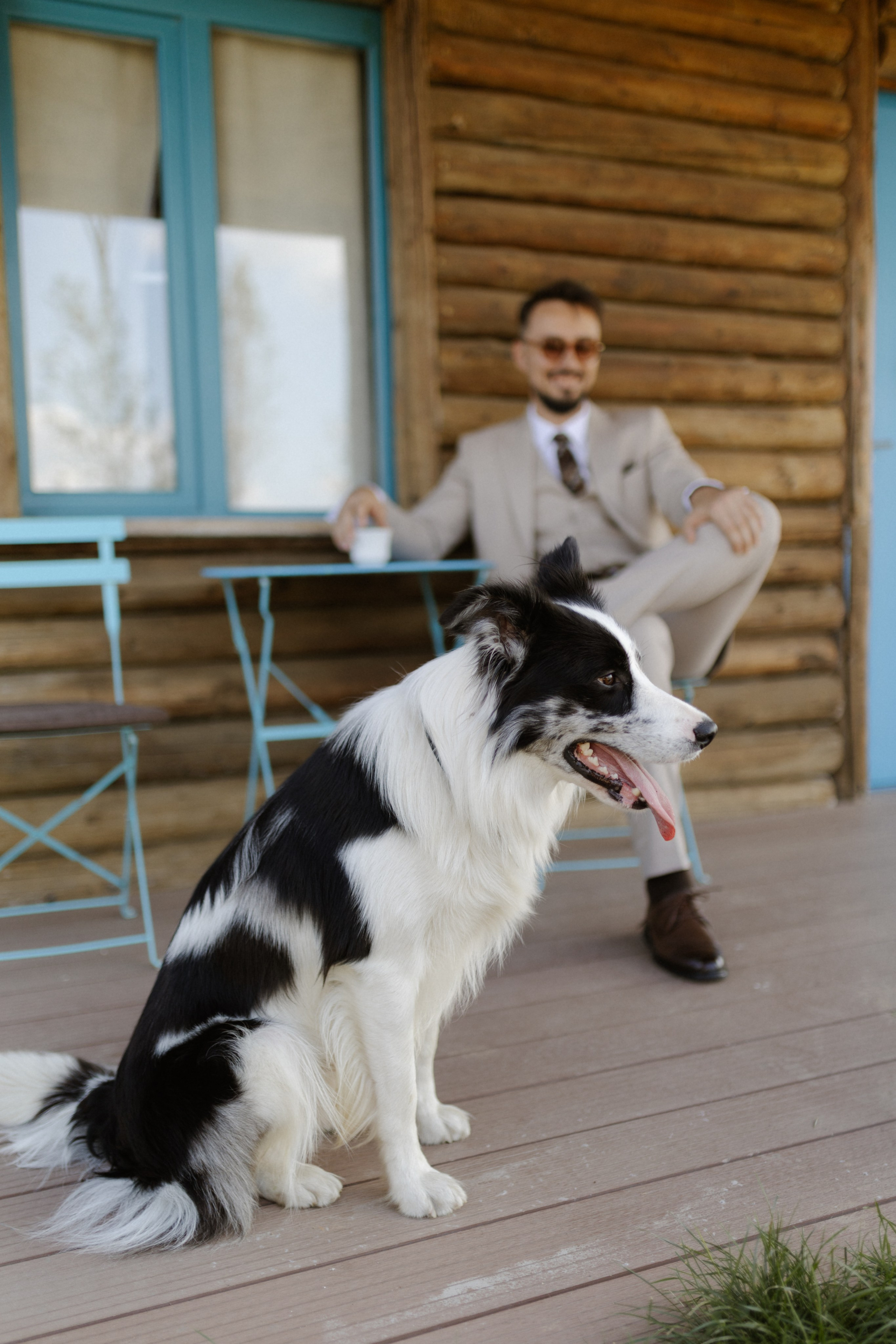 Wedding at Province Timisoara | Cristina & Robert. Wedding photographer and videographer based in Timisoara, Romania