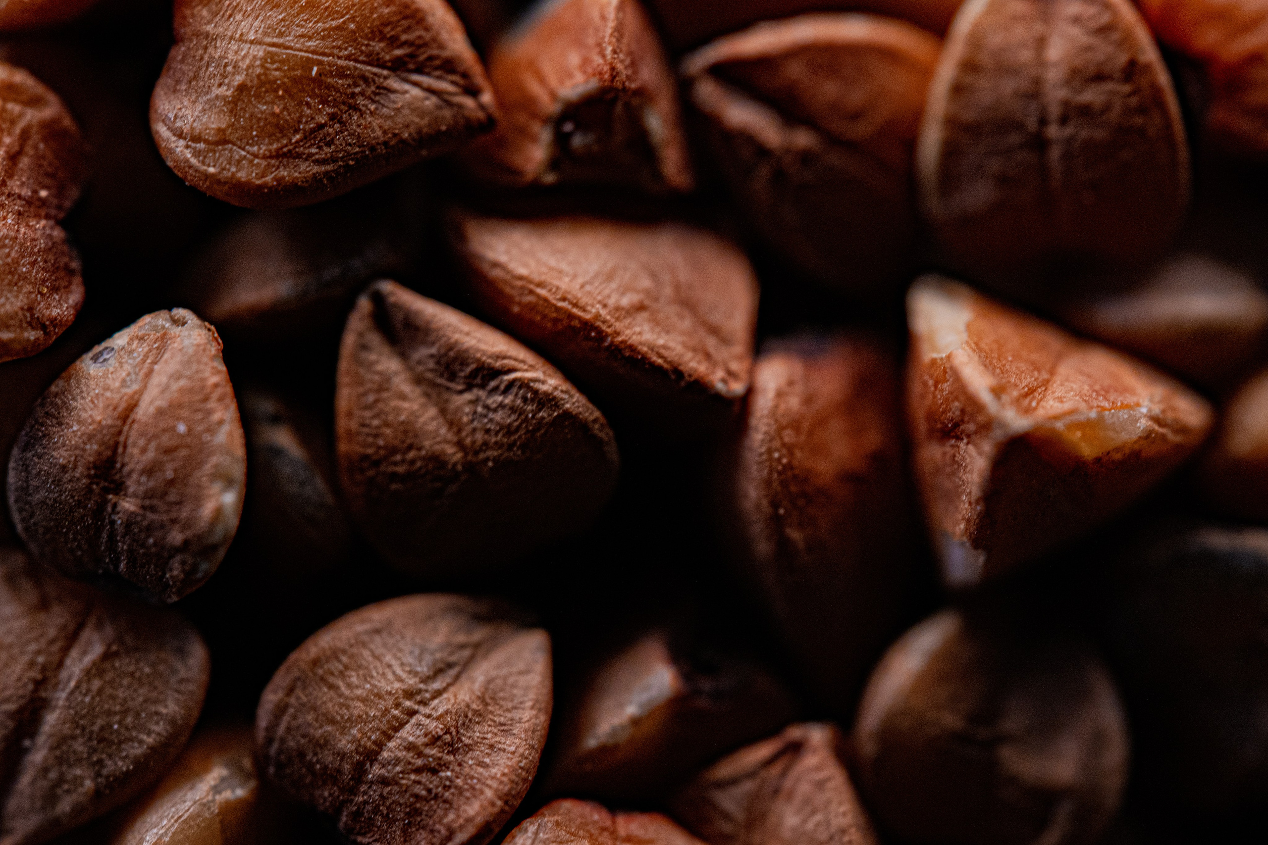 Food. NYC based photographer