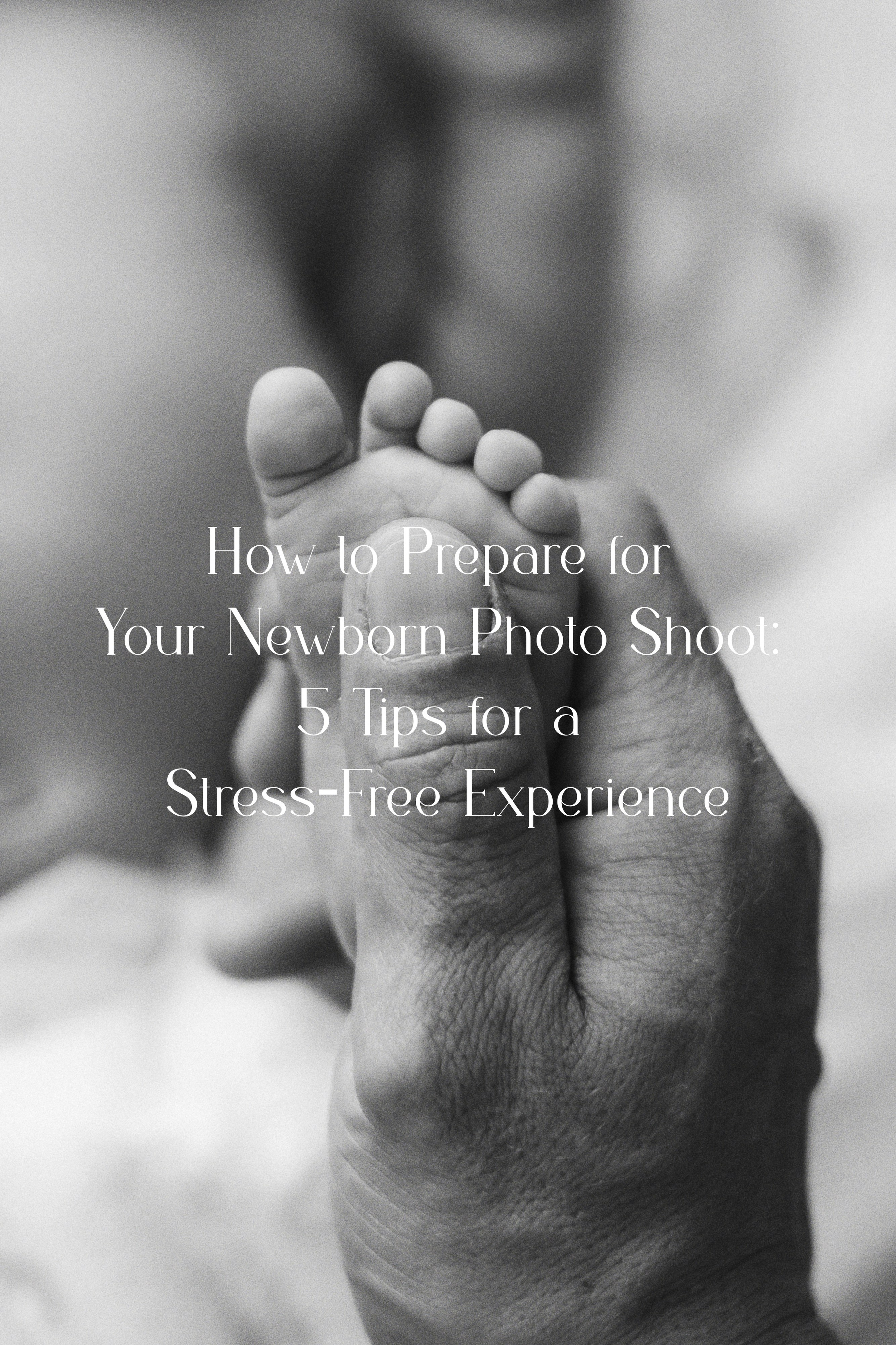 Blog. Xenia Monich Ventura County Photographer