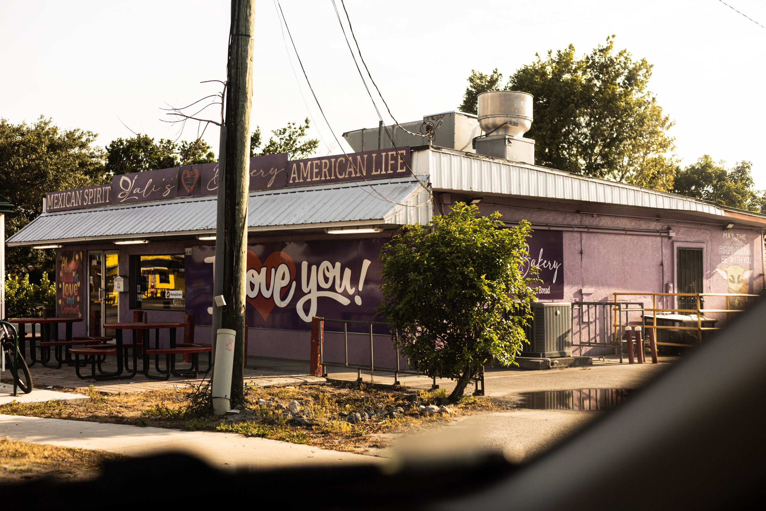 Americana — Immokolee. Out and About 239