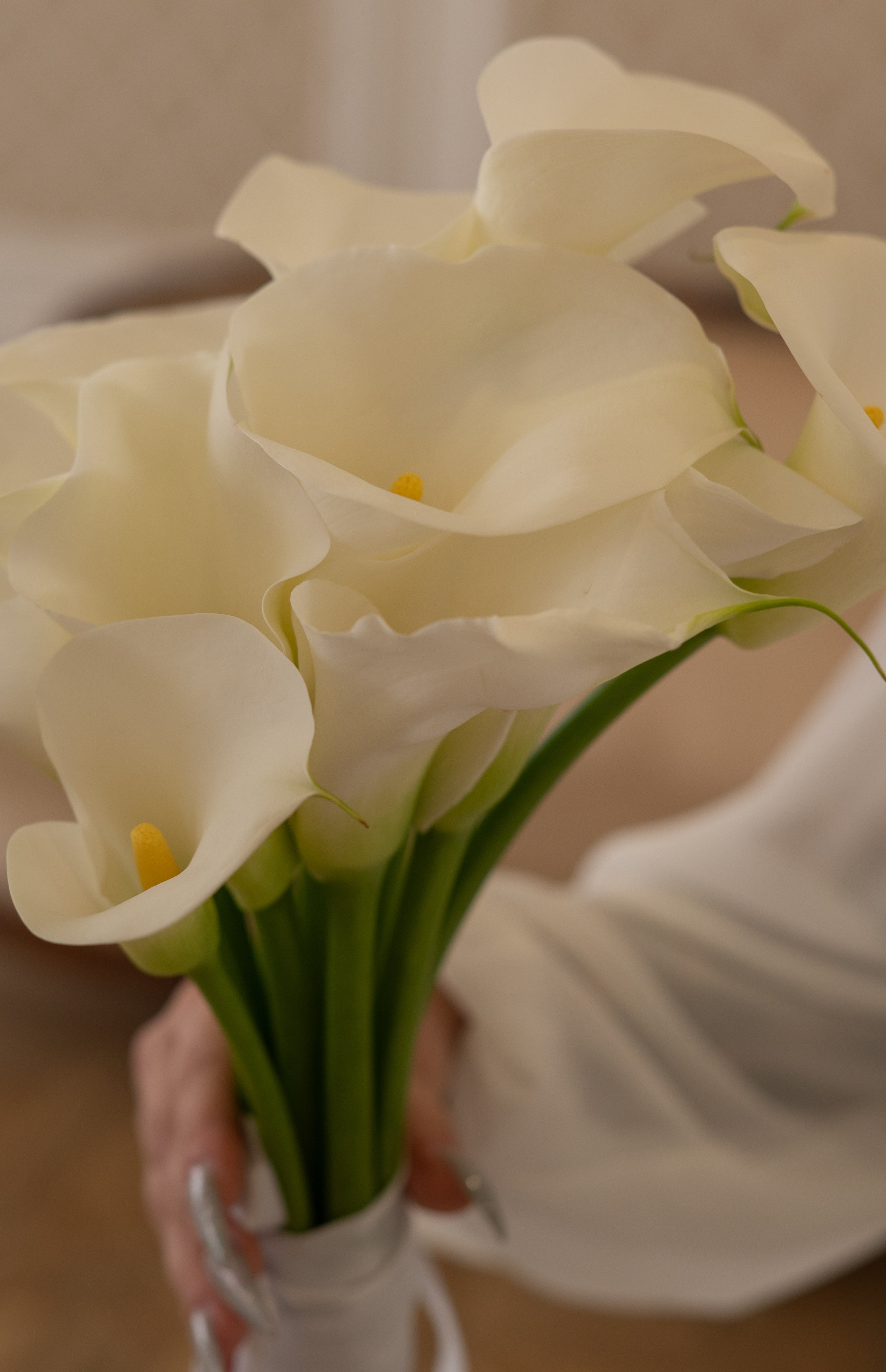 Екатерина и Даниил. Фотограф в Калининграде Анна Пошкус