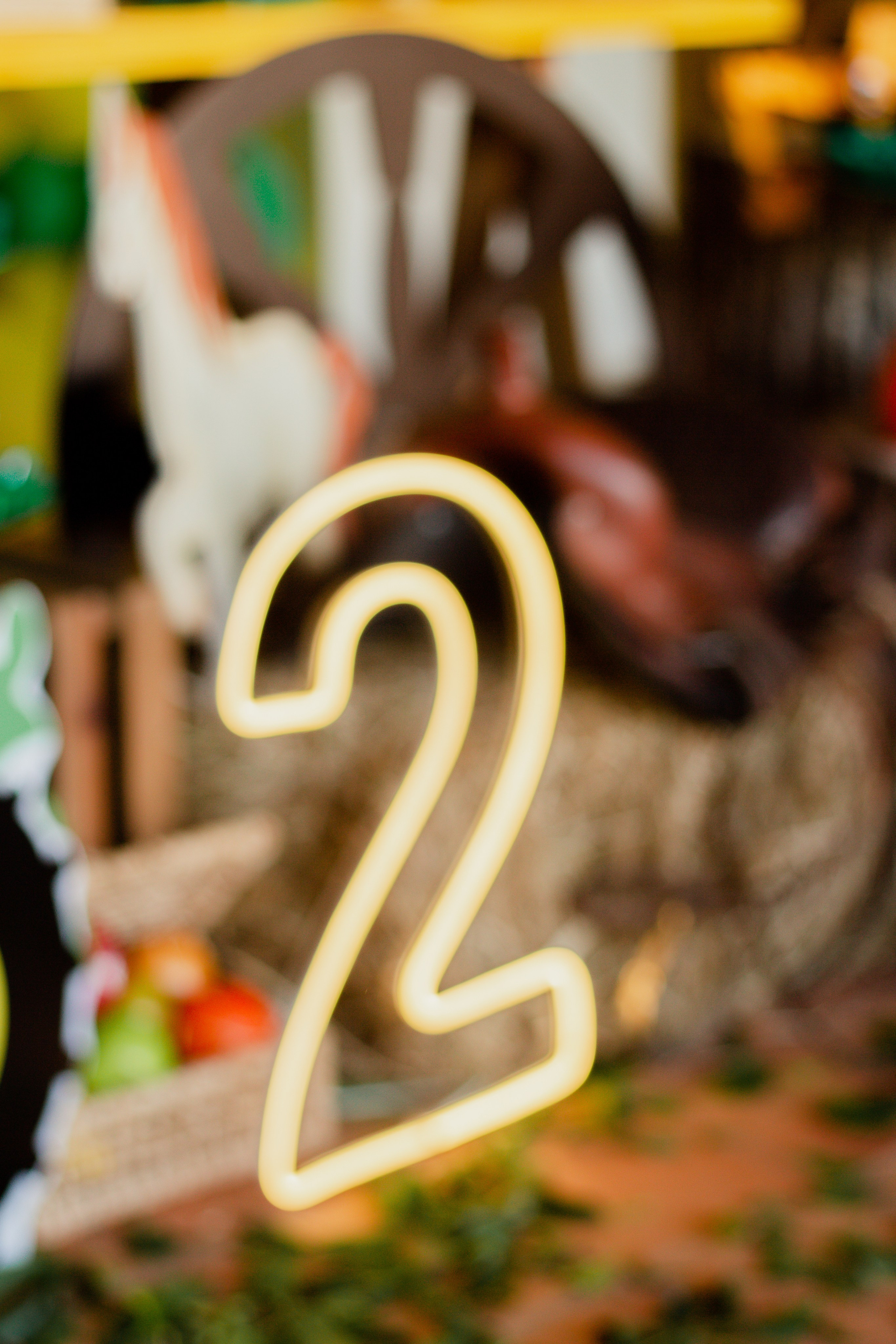 Fotografia de Aniversário Infantil em Holambra – Theo, 2 anos | Joyce Maria. Joyce Maria Fotografia | Fotógrafa em Holambra